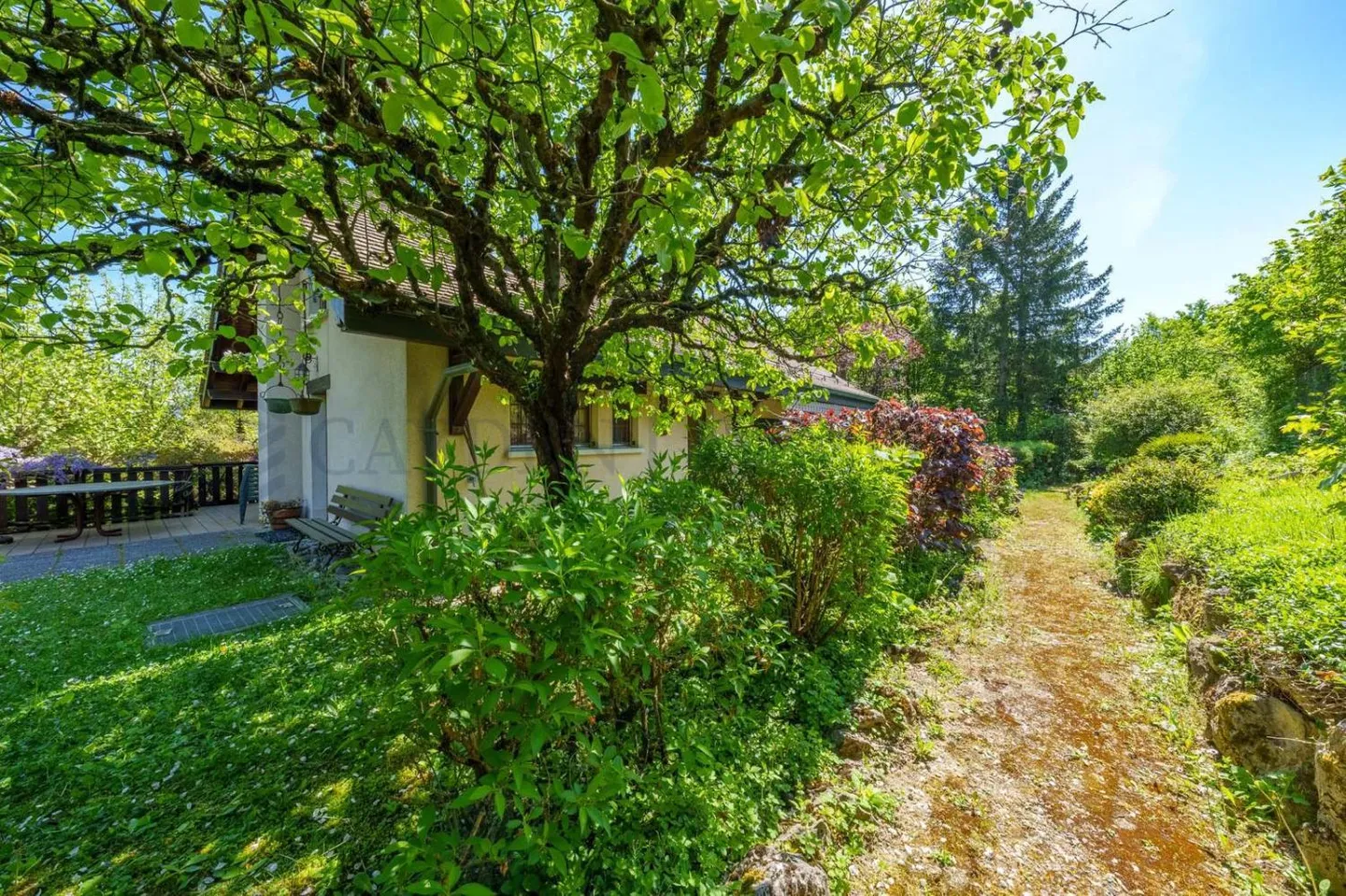 Villa Charmante à Thônex - Photo 8 sur 8