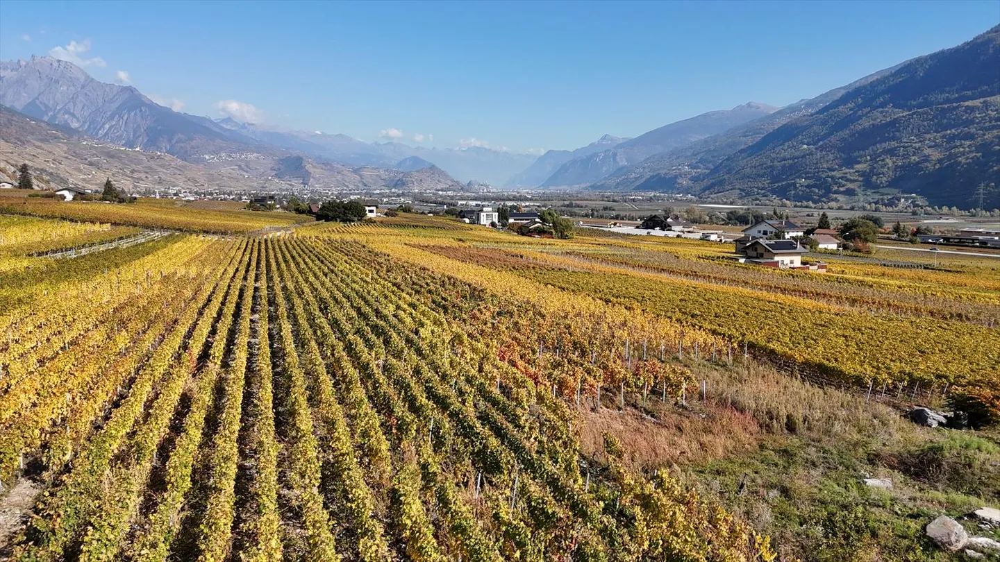 Maison 4.5 pièces - Photo 3 sur 8