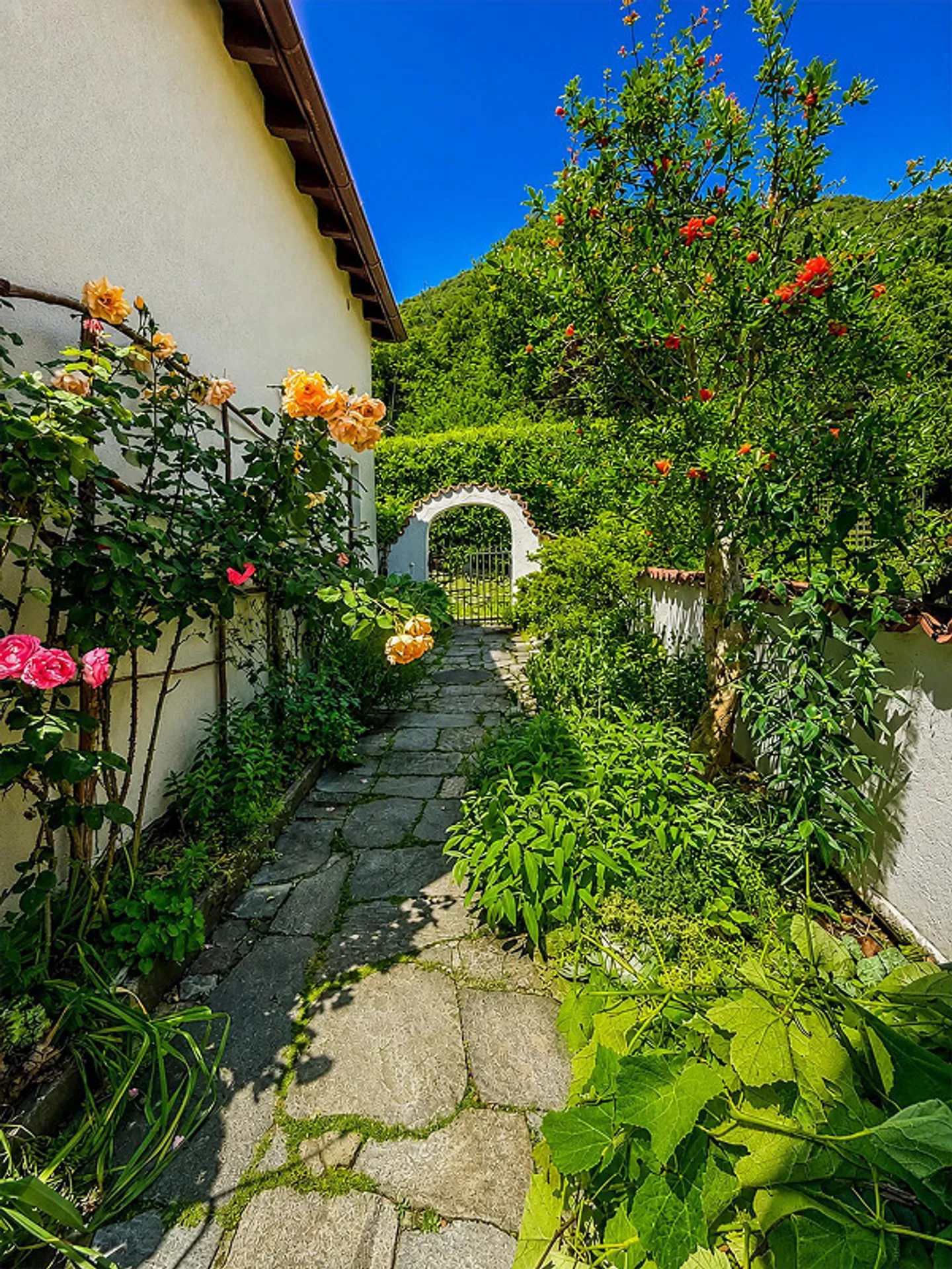 Zweitwohnsitz - Charmantes typisches Tessiner Haus/Rustico - Foto 2 di 25