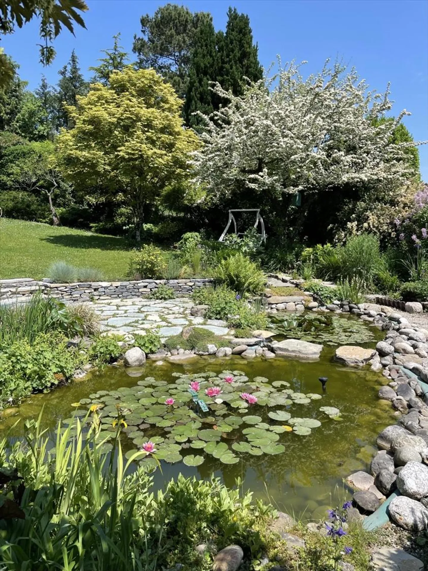 MAGNIFICO TERRENO DA COSTRUIRE DI 1349 m2 IN ZONA VILLA, CON VISTA LAGO - Foto 5 di 5