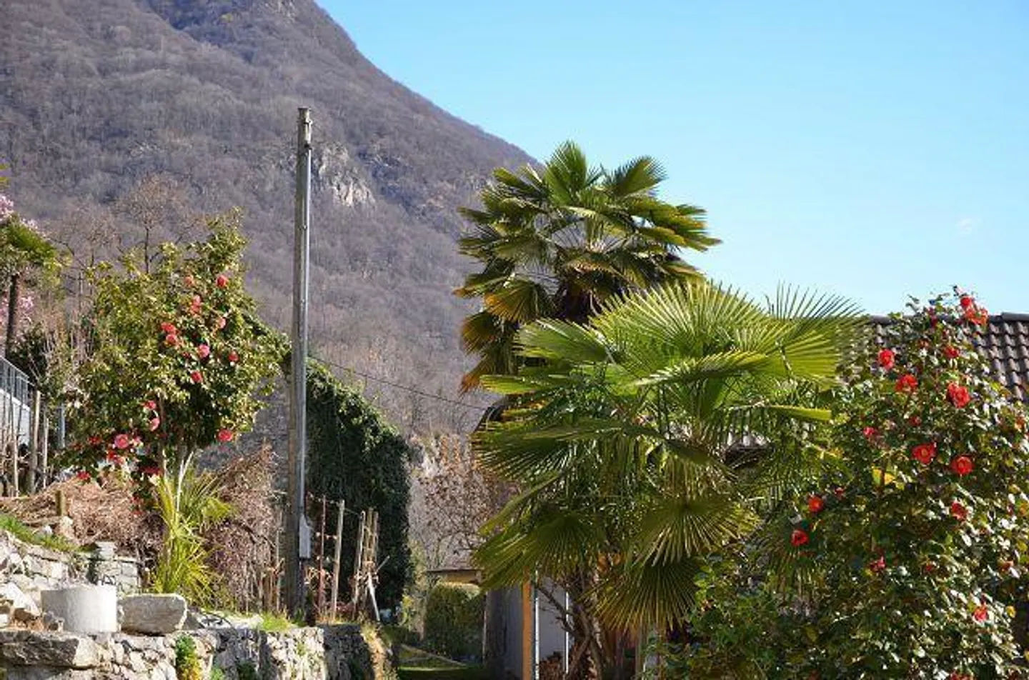 Charming House with Courtyard - Photo 41 of 44