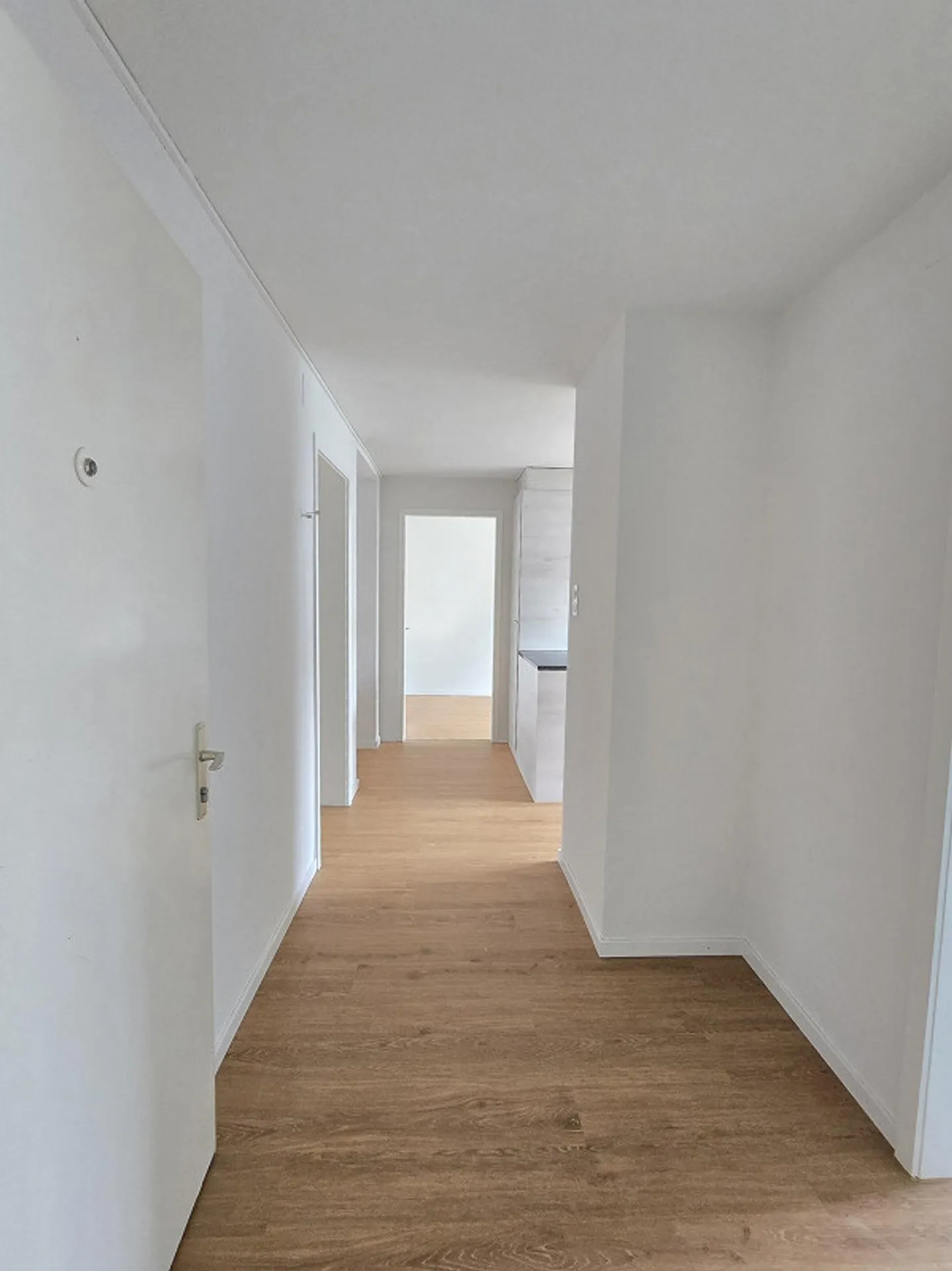 Newly Renovated 4.0 Room Apartment - Photo 1 of 13