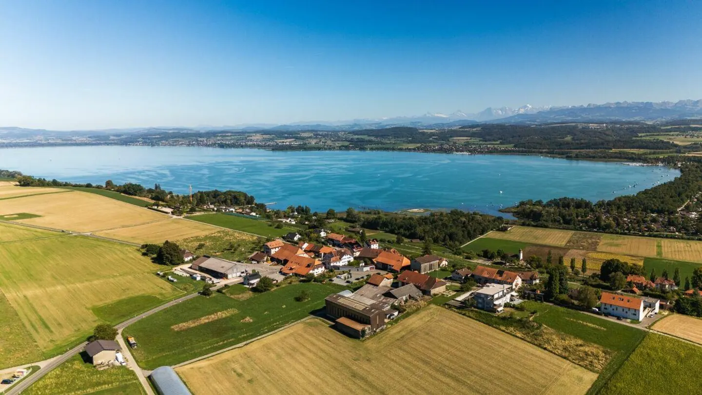 EIN AUSGEZEICHNETER BLICK - Foto 11 von 12