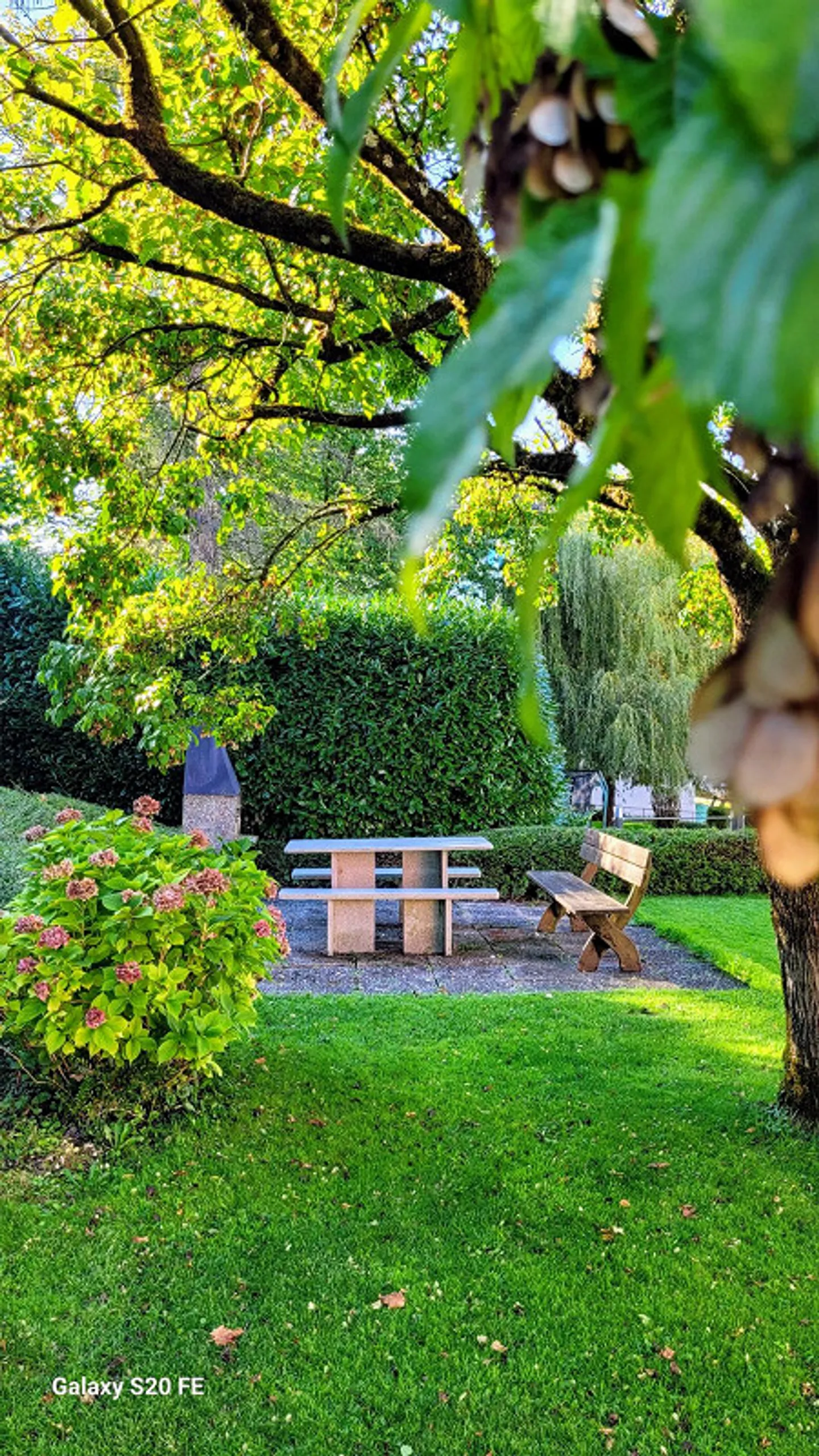 Oasi abitativa nel tranquillo villaggio di Buechen-Staad - Foto 21 di 26