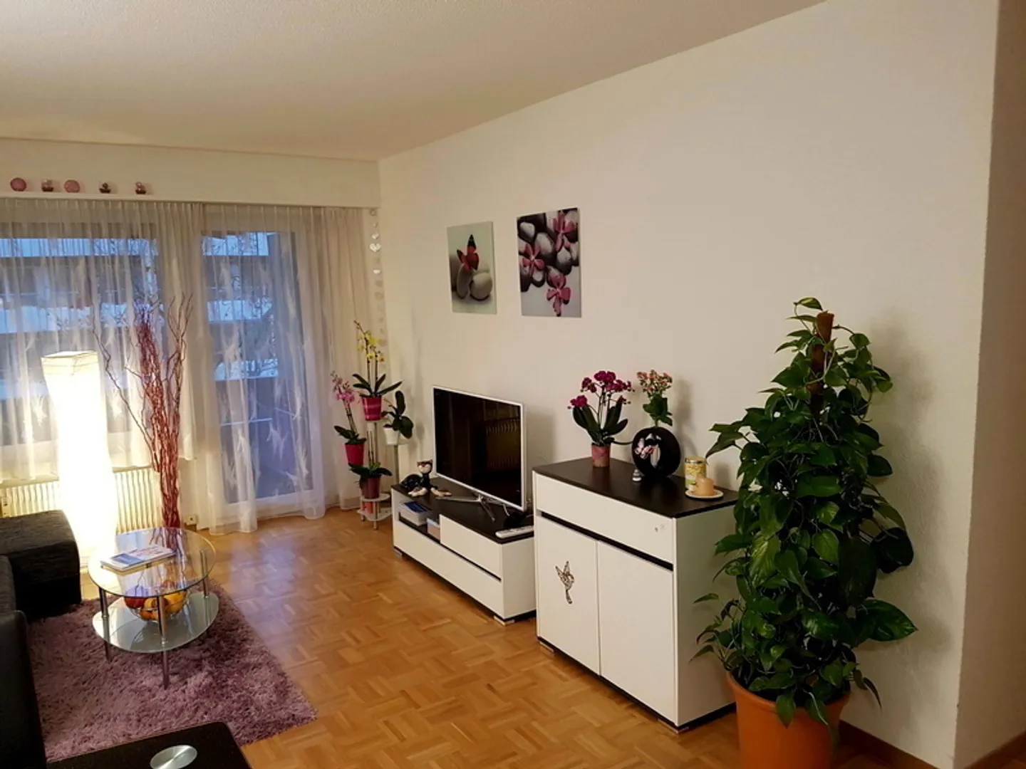 Charmante 2.5-Zimmerwohnung - Foto 2 von 8