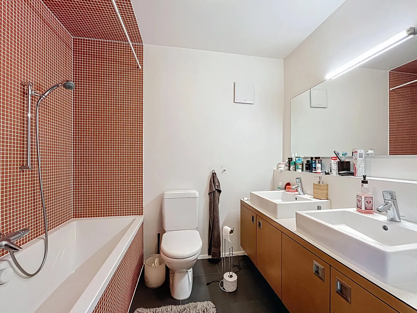 Duplex et Appartement à Remaufens - Photo 4 sur 11