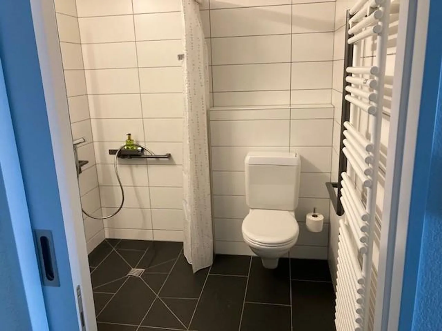 Appartement lumineux et spacieux de 1,5 pièce - Photo 6 sur 8