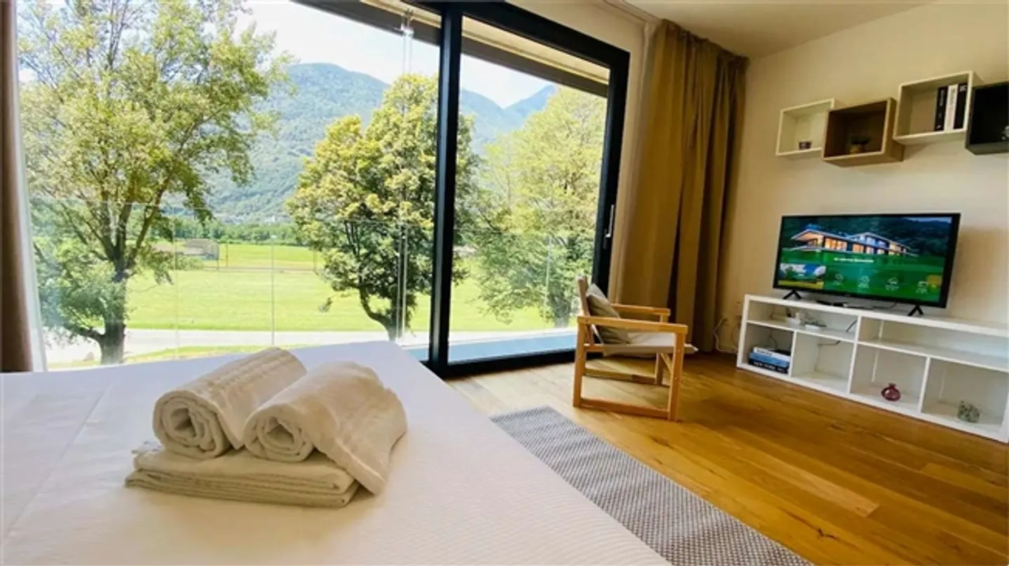 INVESTIMENTO AD ALTA RENDITA NEL CUORE VERDE DEL TICINO - RENDIMENTO A PARTIRE DAL 4% - Foto 7 di 12