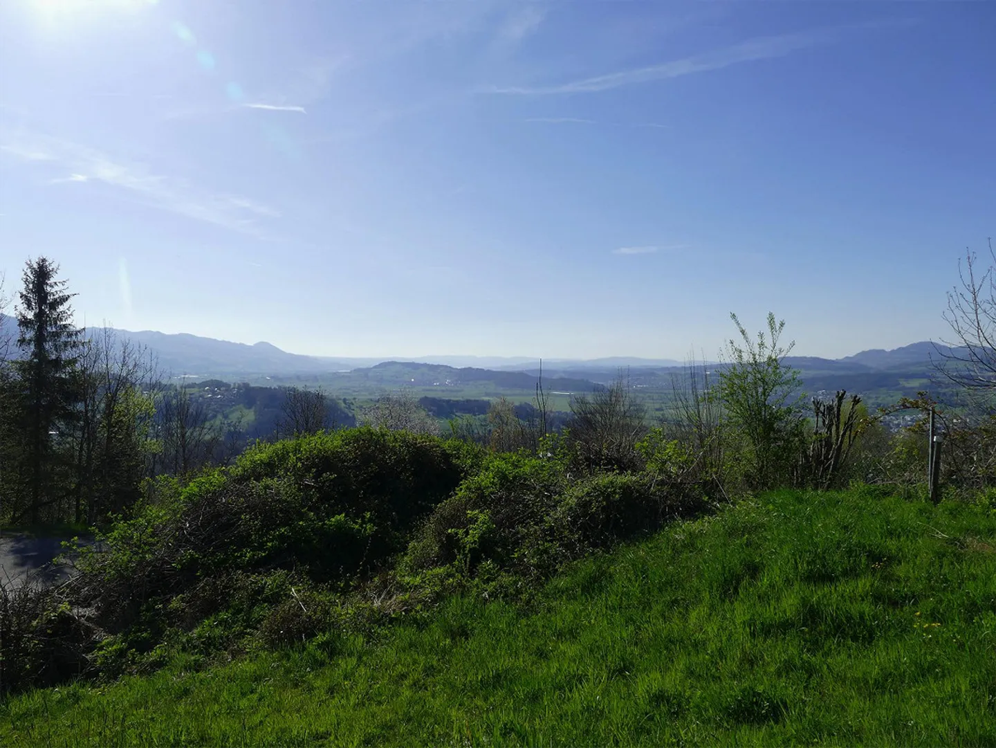 1'003 m² Bauland mit Panoramablick - Foto 10 von 11