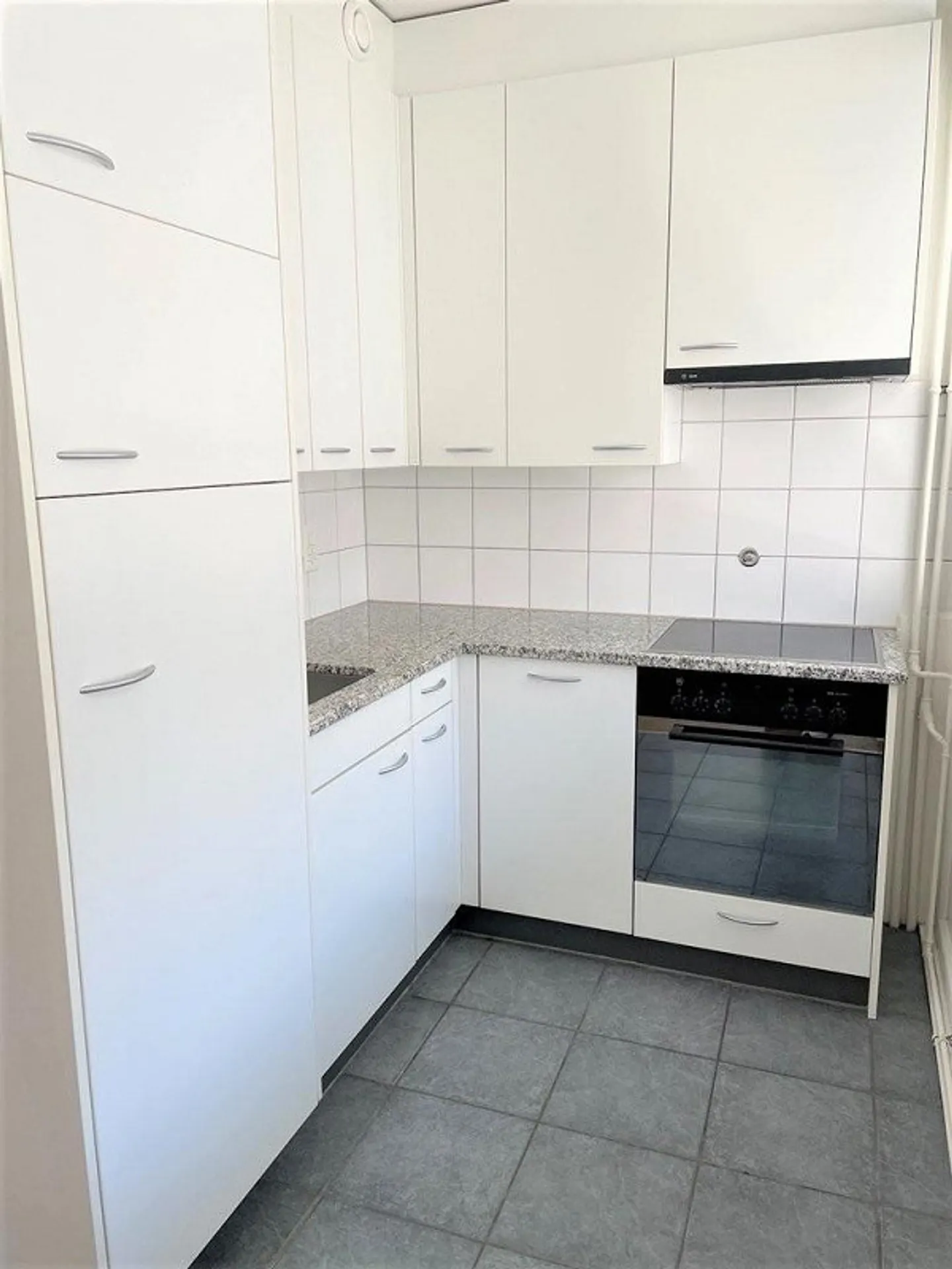 Eaux-Vives: beautiful apartment with balcony - Photo 3 of 11
