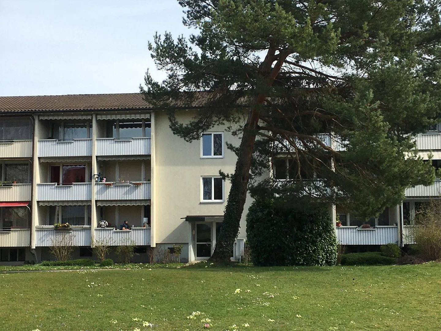 Petit mais à moi. Vivre près de Neuörlikon. - Photo 1 sur 6