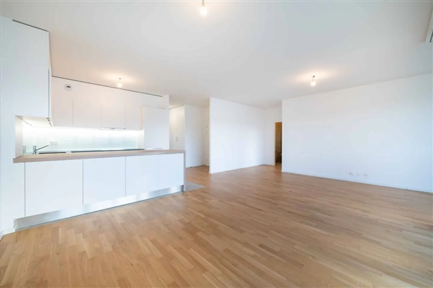 Appartement spacieux de 4,5 pièces avec balcons, près du bord du lac et des universités - Photo 2 sur 12