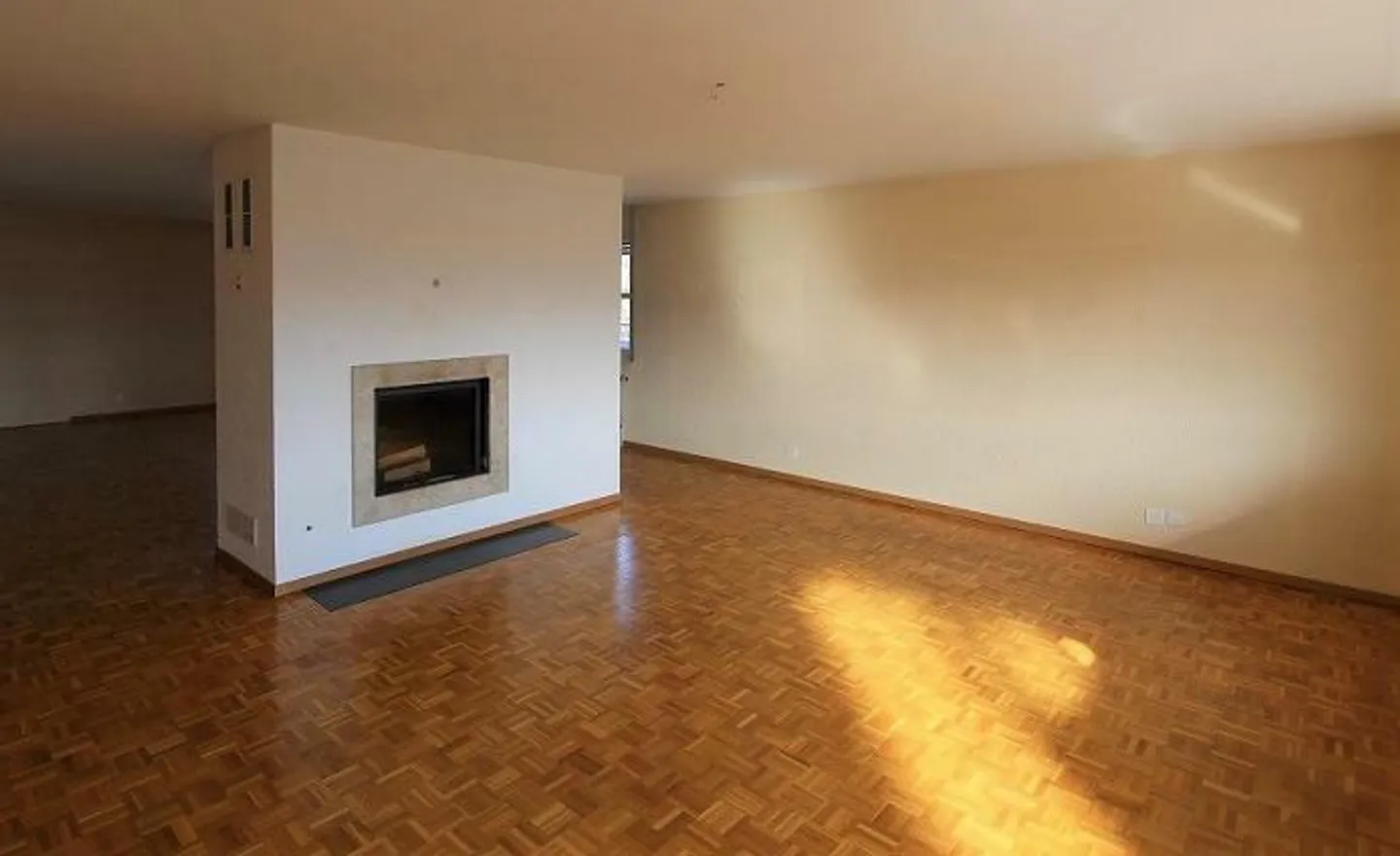 Magnifique appartement 5,5 pièces - Photo 3 sur 10