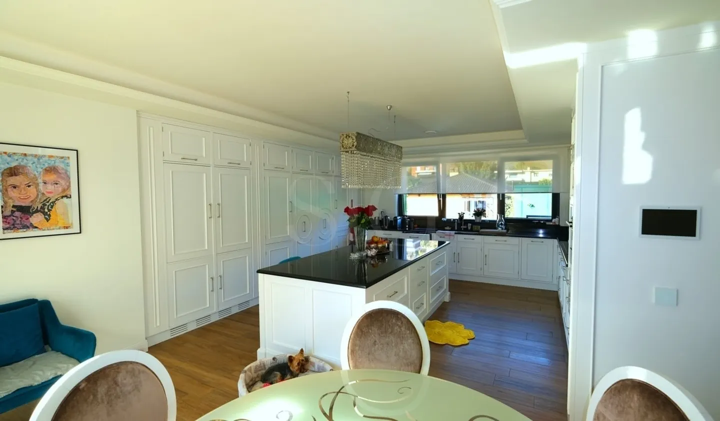 Luxury Villa in Montagnola - Photo 3 of 15