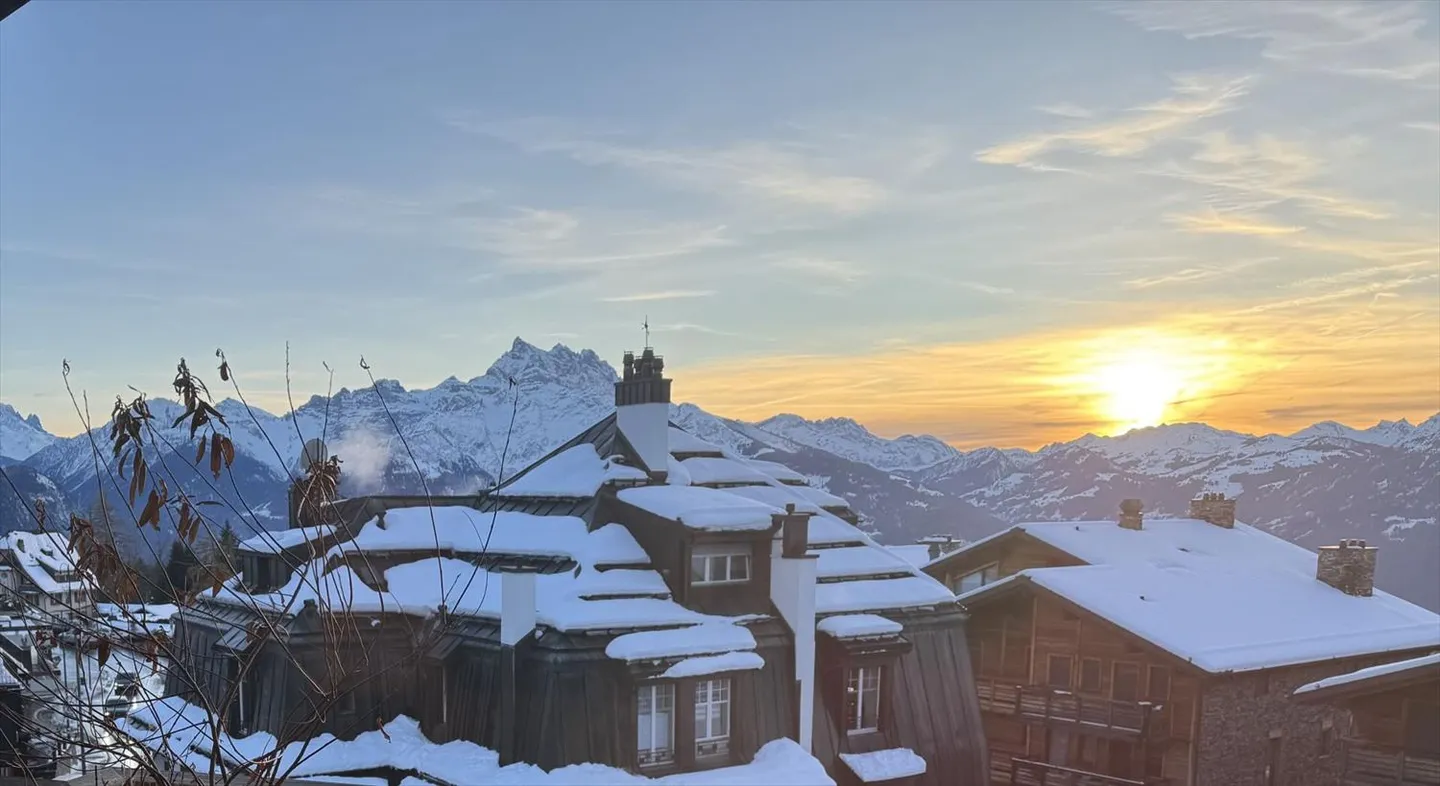 Daphné B32 - Foto 7 di 13