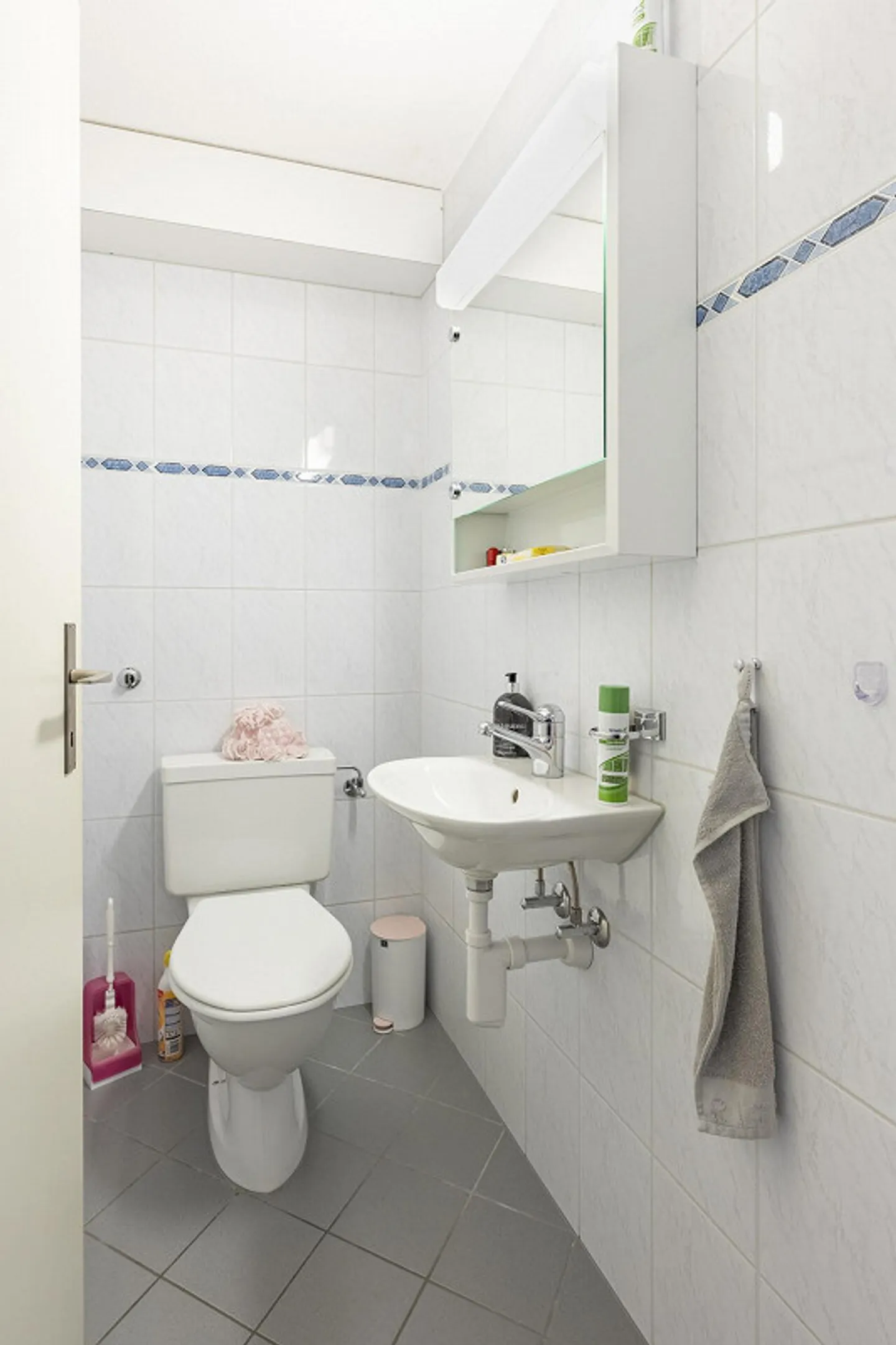 Stile di vita sul Lago di Costanza incluso - Incantevole 3.5 locali con potenziale - Foto 7 di 13