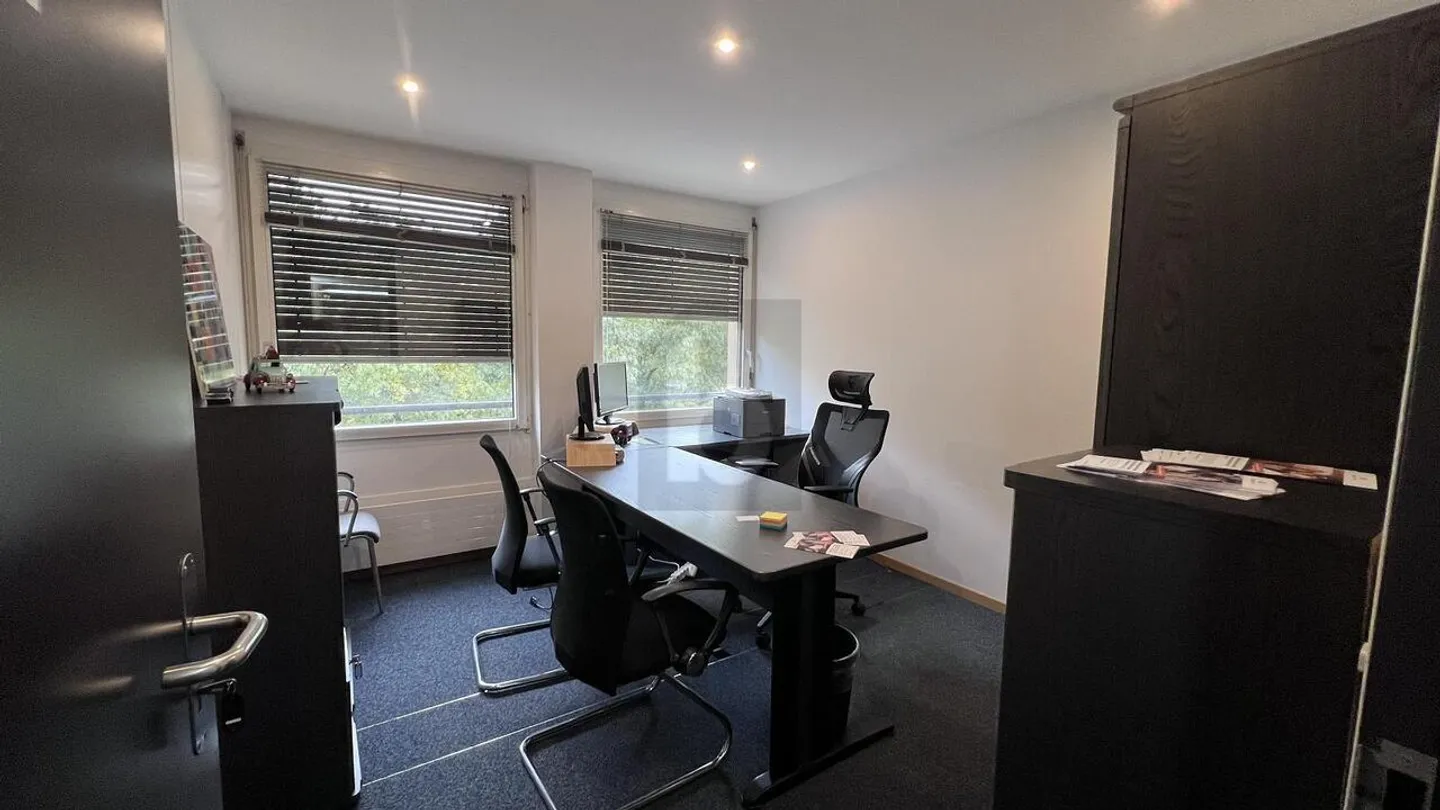 TIMELESS OFFICE SPACE NEAR THE CENTER - Photo 4 of 6