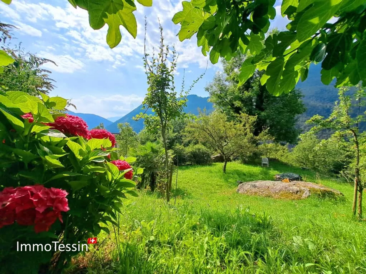 RARITÀ - Un pezzo di paradiso a Berzona, appartamento al pian terreno con giardino di 3000 m² - Foto 2 di 13