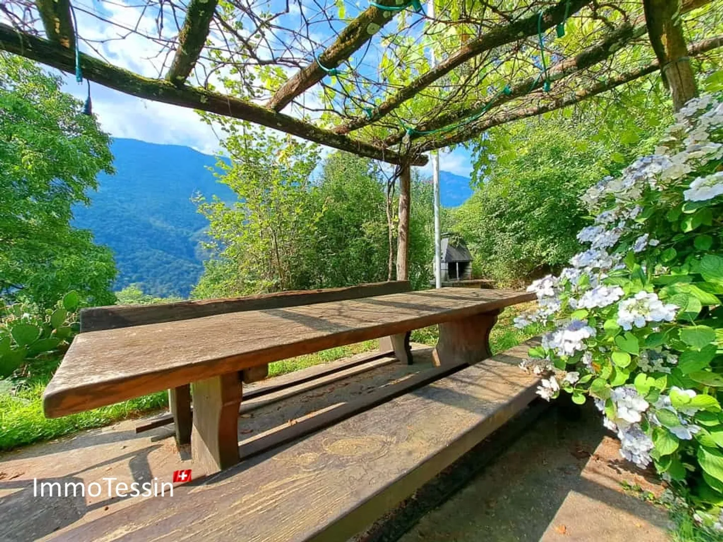 RARITÀ - Un pezzo di paradiso a Berzona, appartamento al pian terreno con giardino di 3000 m² - Foto 4 di 13