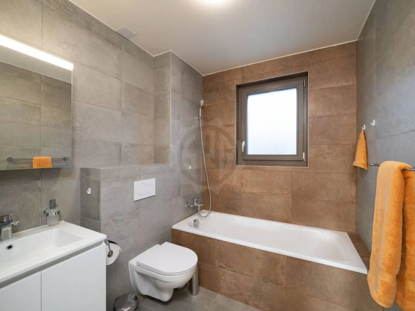 Bel appartement - Collex - Photo 9 sur 12