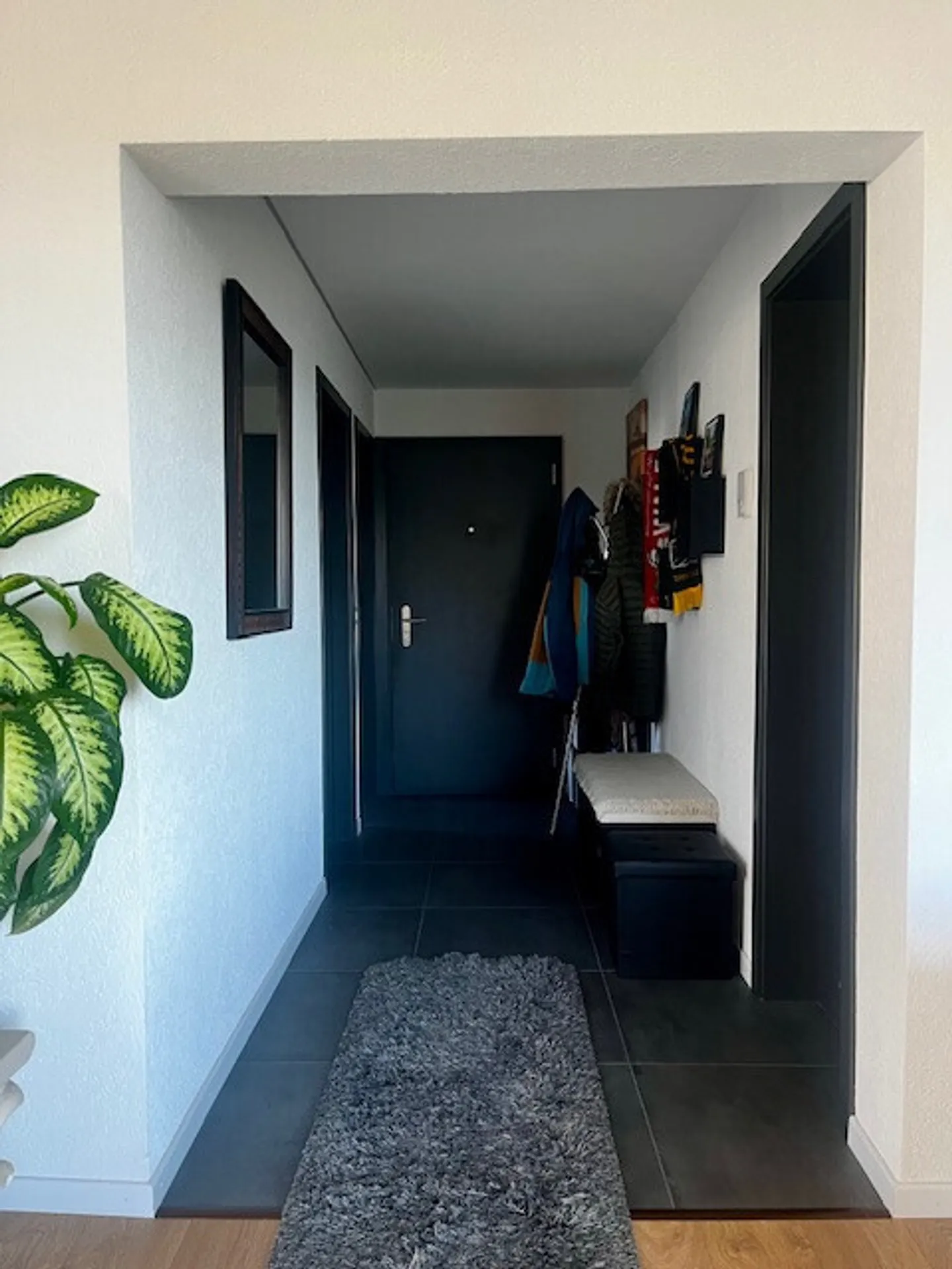 Appartamento ristrutturato nel centro di Sion - Foto 6 di 8