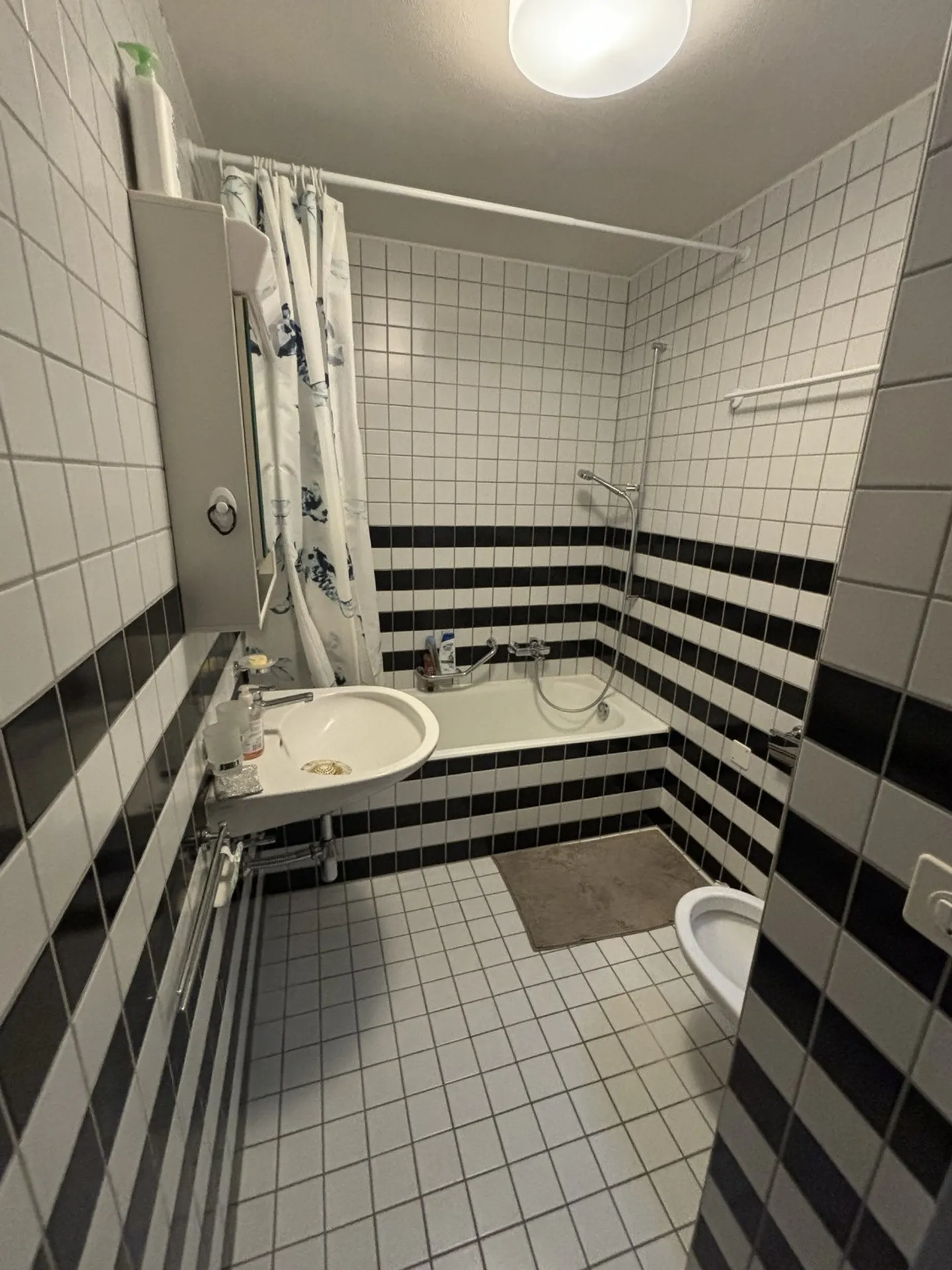 Superbe duplex de 3,5 pièces avec vue sur la montagne à Rene - Photo 12 sur 18