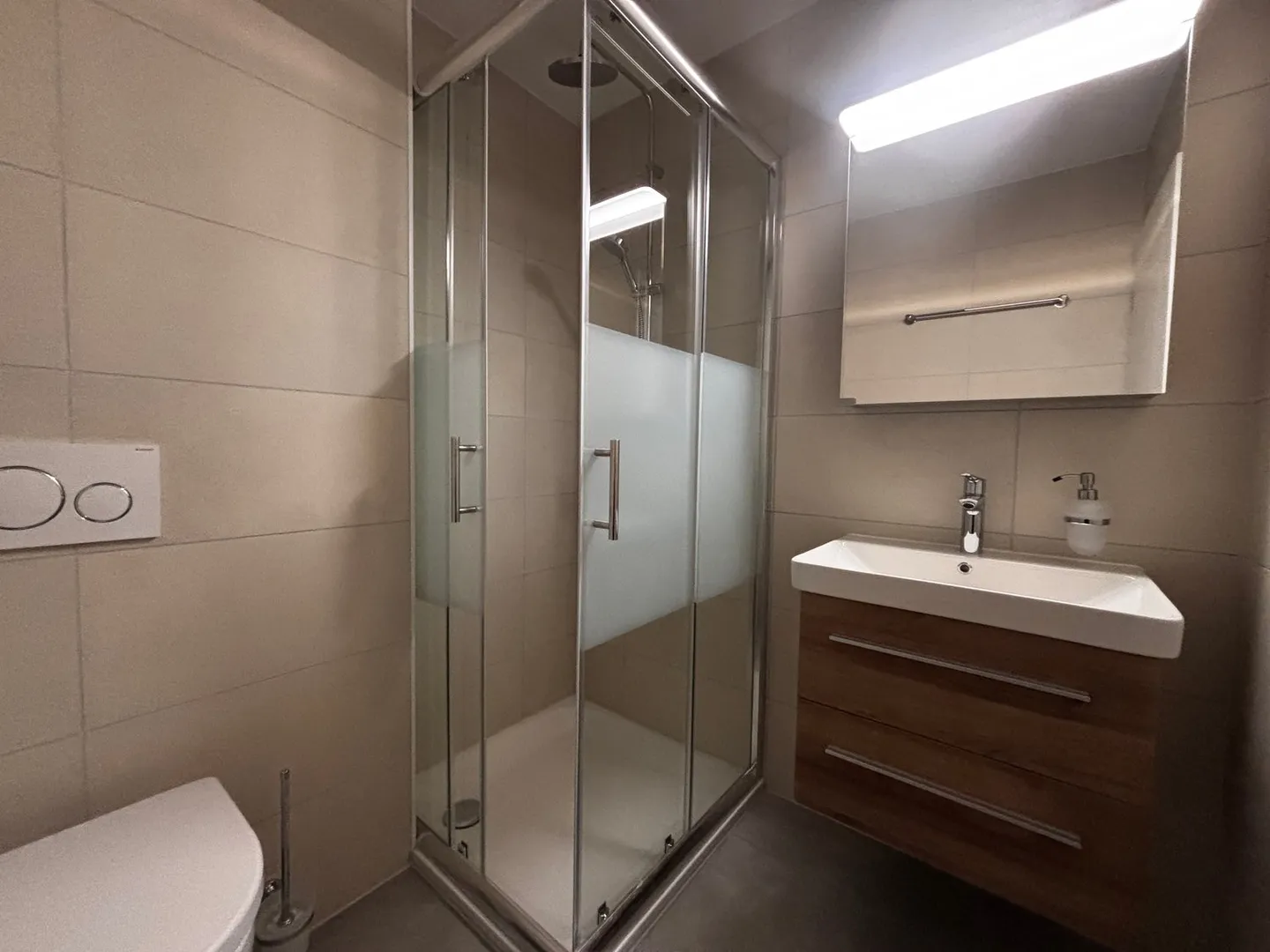 Beautiful 4.5-room apartment, completely renovated in 2025 - Photo 11 of 12