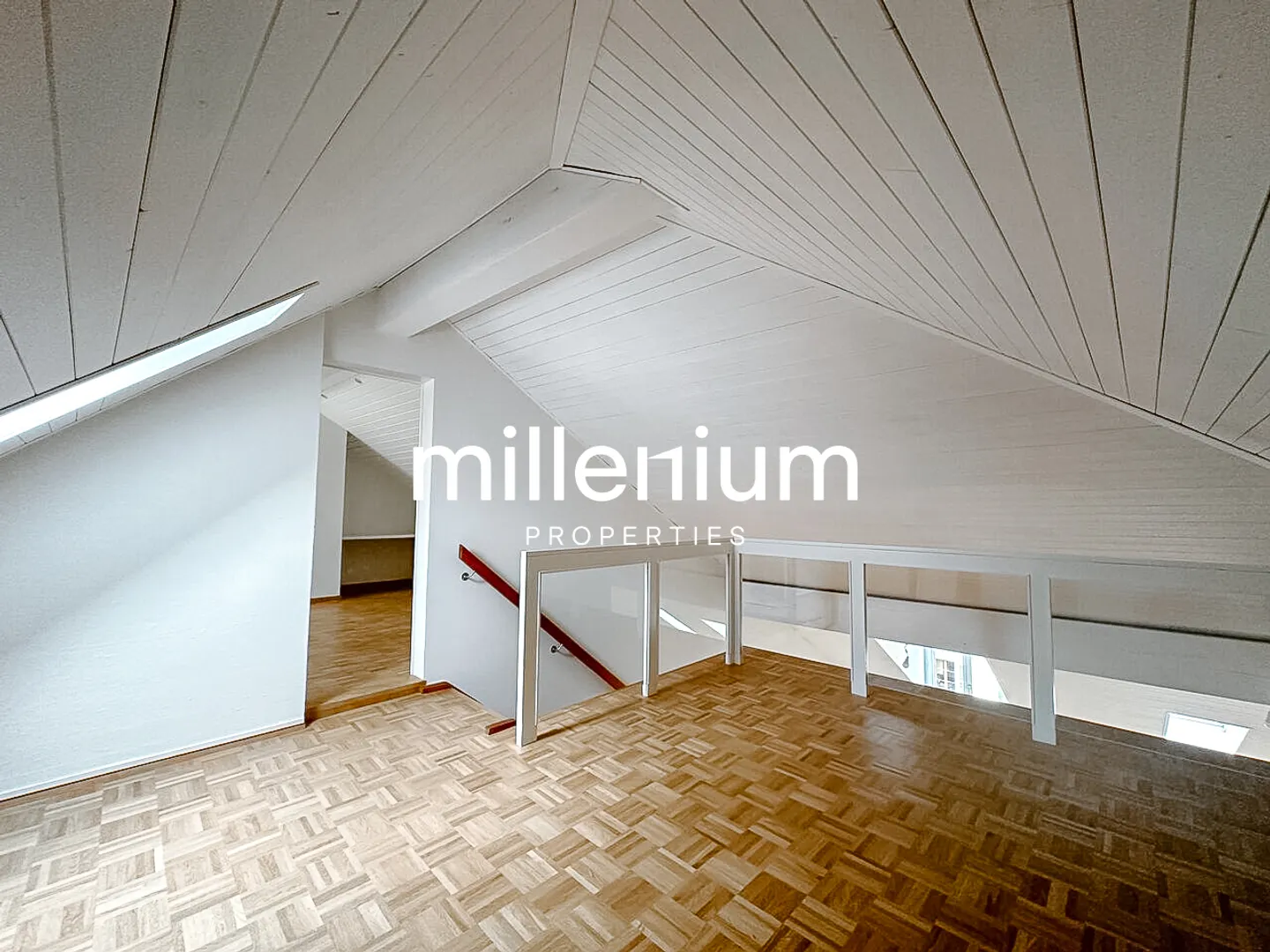 Renovated Duplex in Carouge - Photo 1 of 10