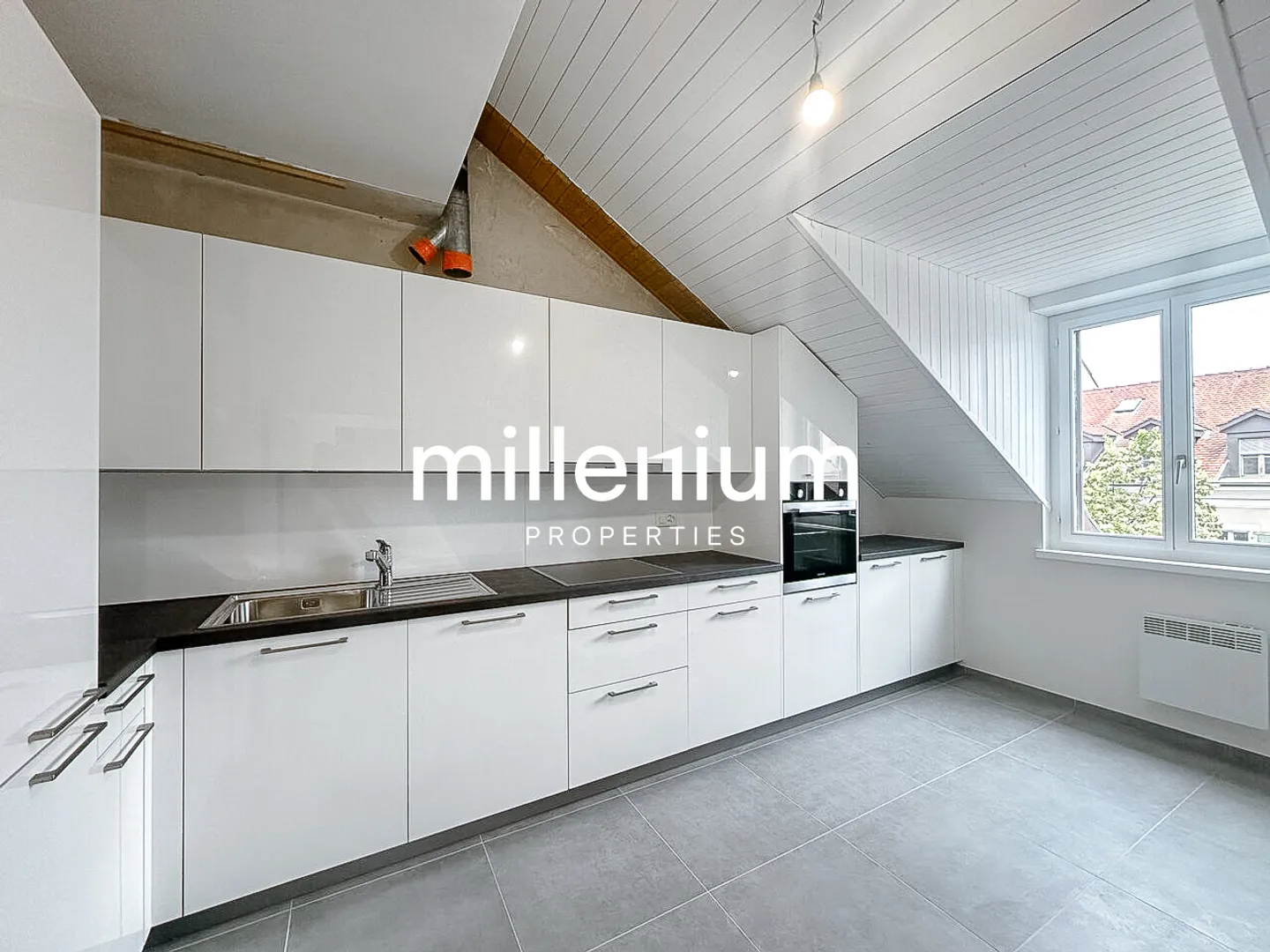 Renovated Duplex in Carouge - Photo 2 of 10