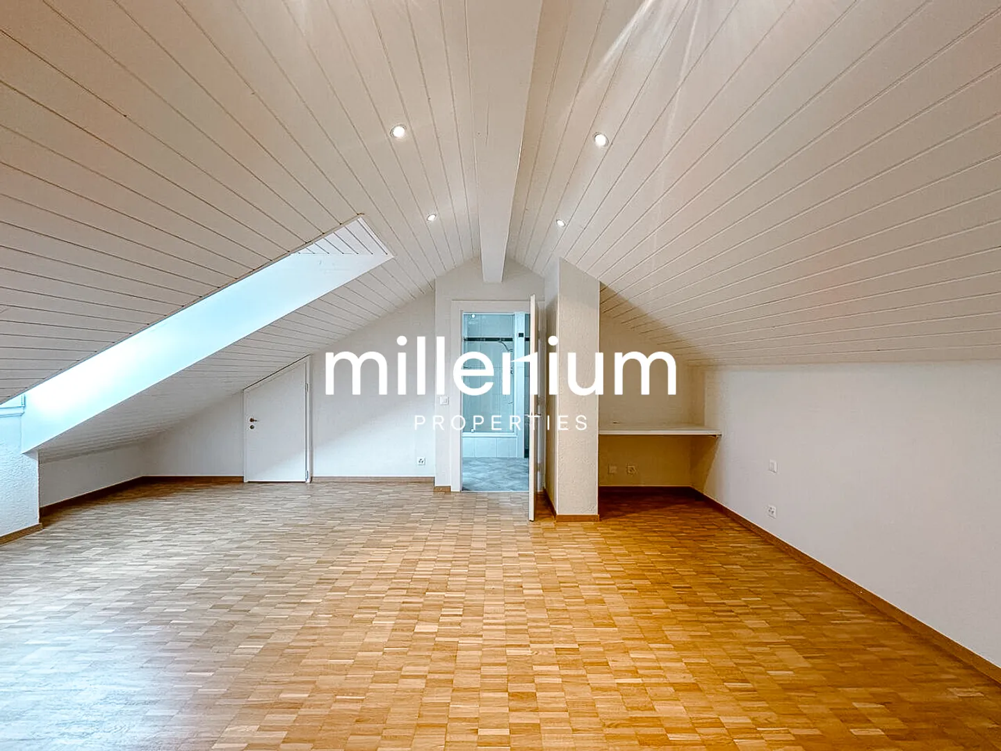 Renovated Duplex in Carouge - Photo 3 of 10