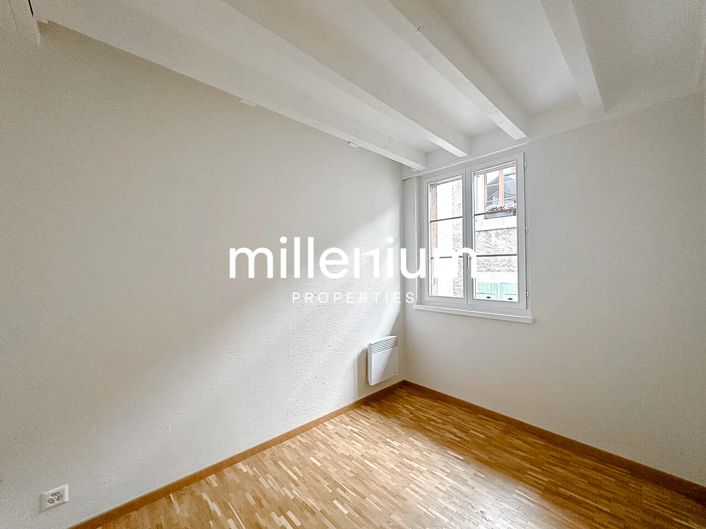Renovated Duplex in Carouge - Photo 4 of 10