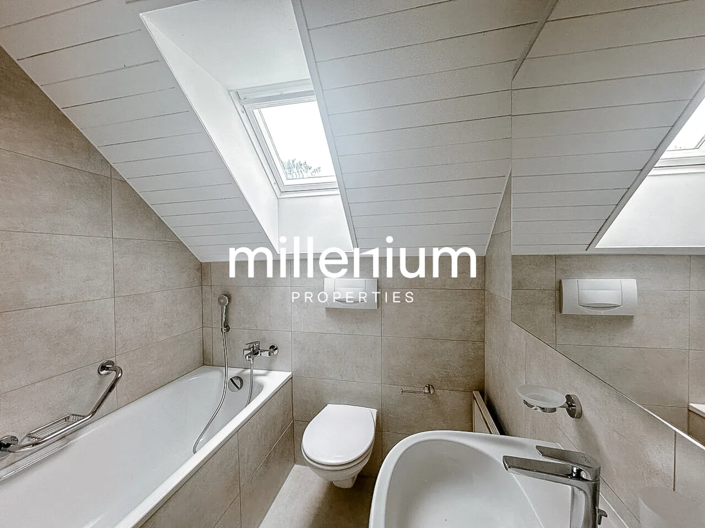 Renovated Duplex in Carouge - Photo 9 of 10