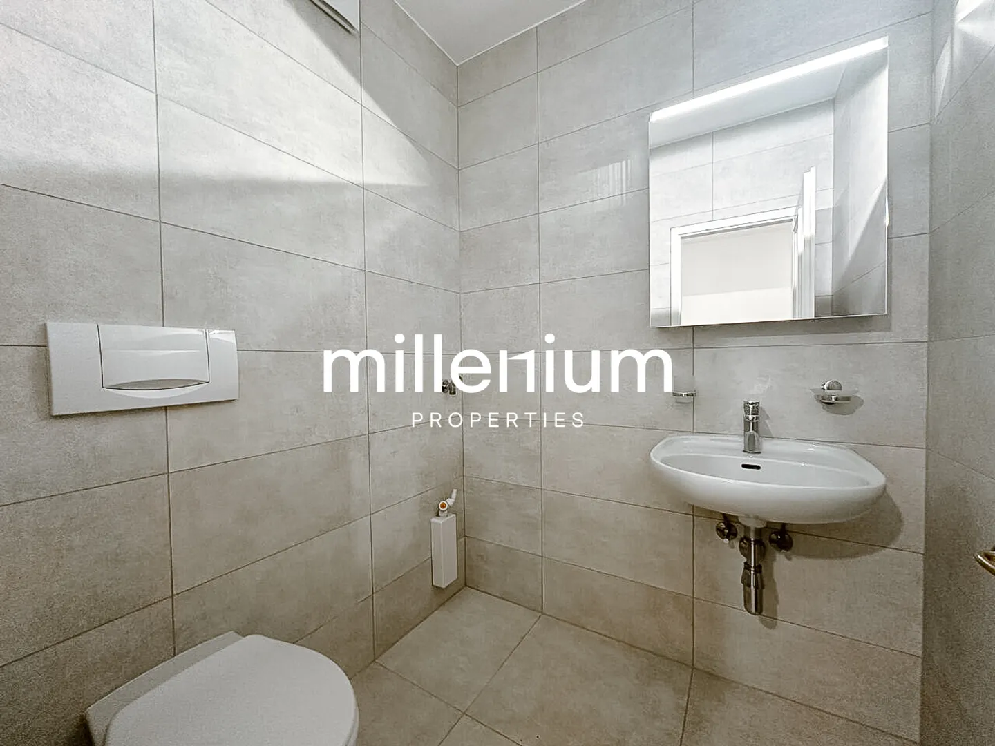Renovated Duplex in Carouge - Photo 10 of 10