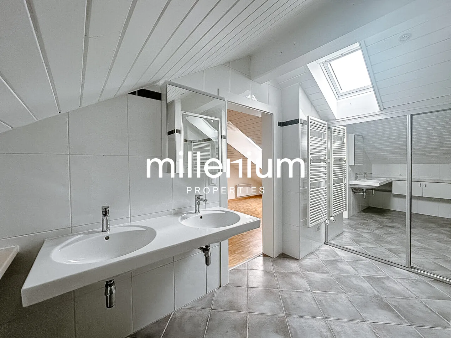 Renovated Duplex in Carouge - Photo 6 of 10