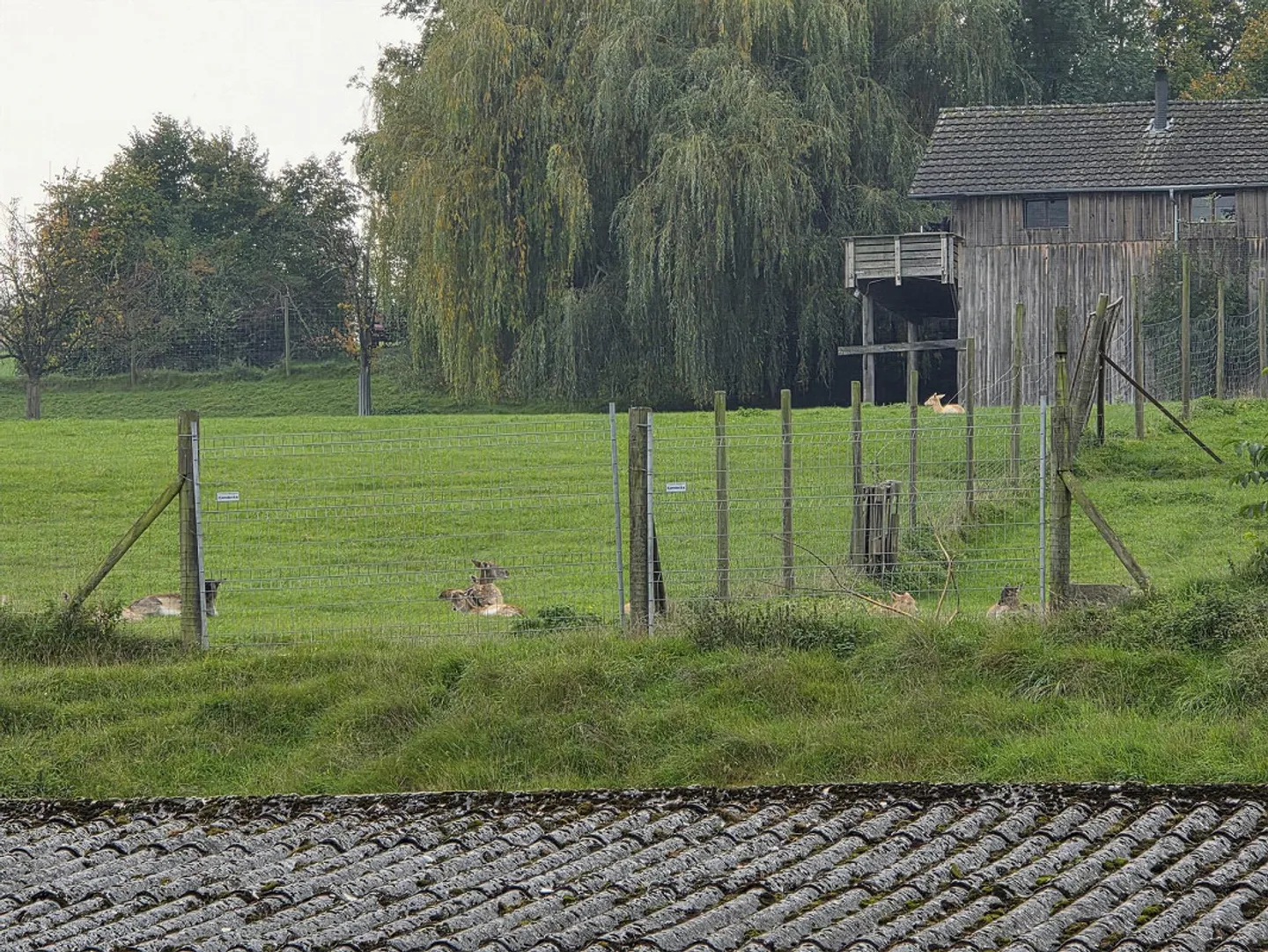 5 Room Apartment in Old Farmhouse - Photo 12 of 13