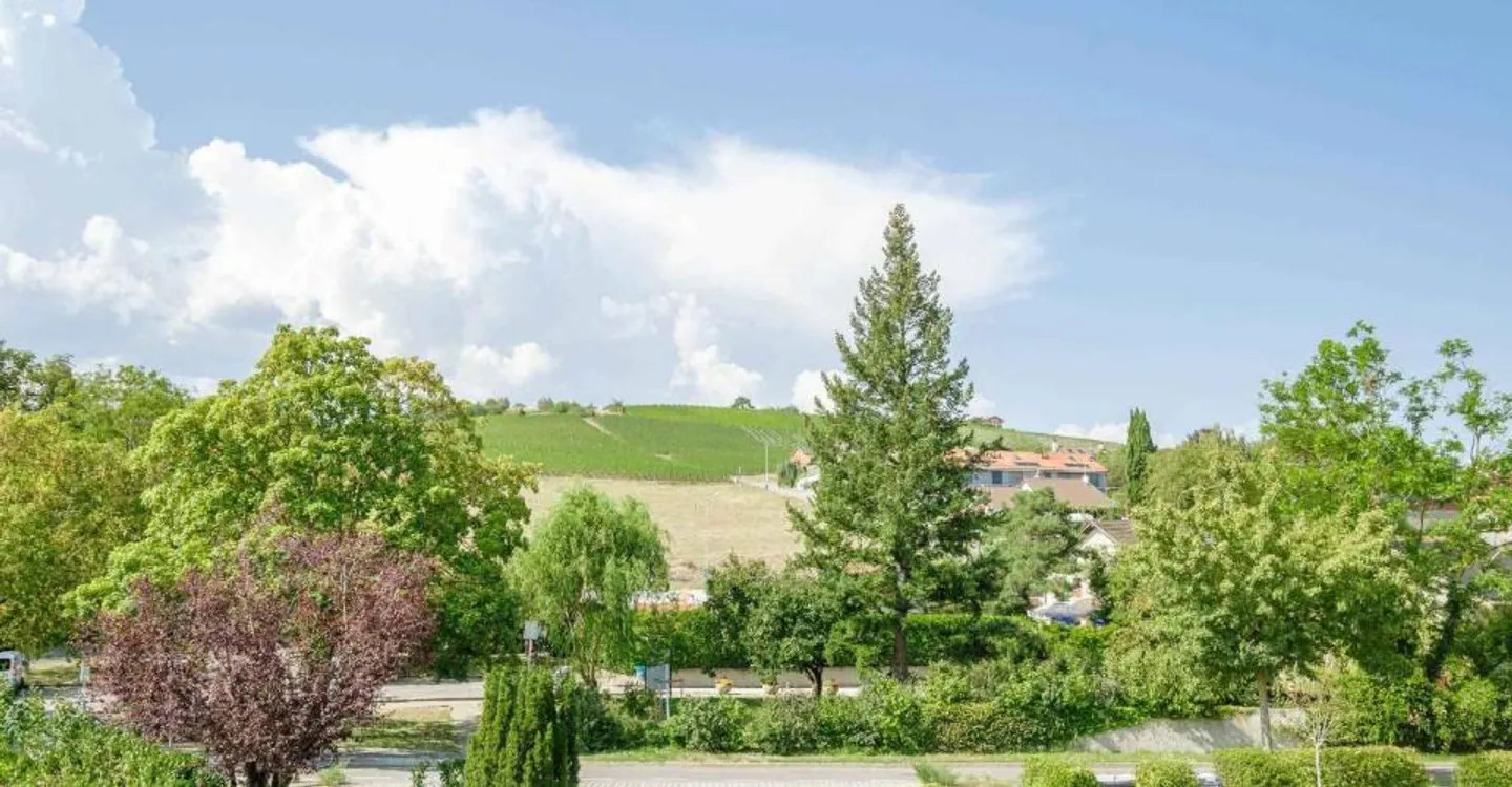 Exklusiv - Charmante und geräumige Familienvilla in Lully - Foto 13 von 13
