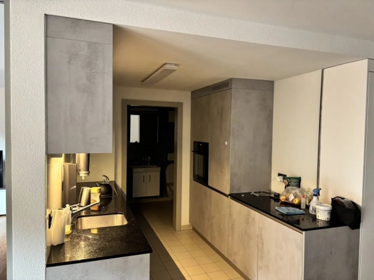 2½ ROOM APARTMENT IN ZURICH - DISTRICT 9 ALTSTETTEN, FURNISHED, TEMPORARY - Photo 2 of 5