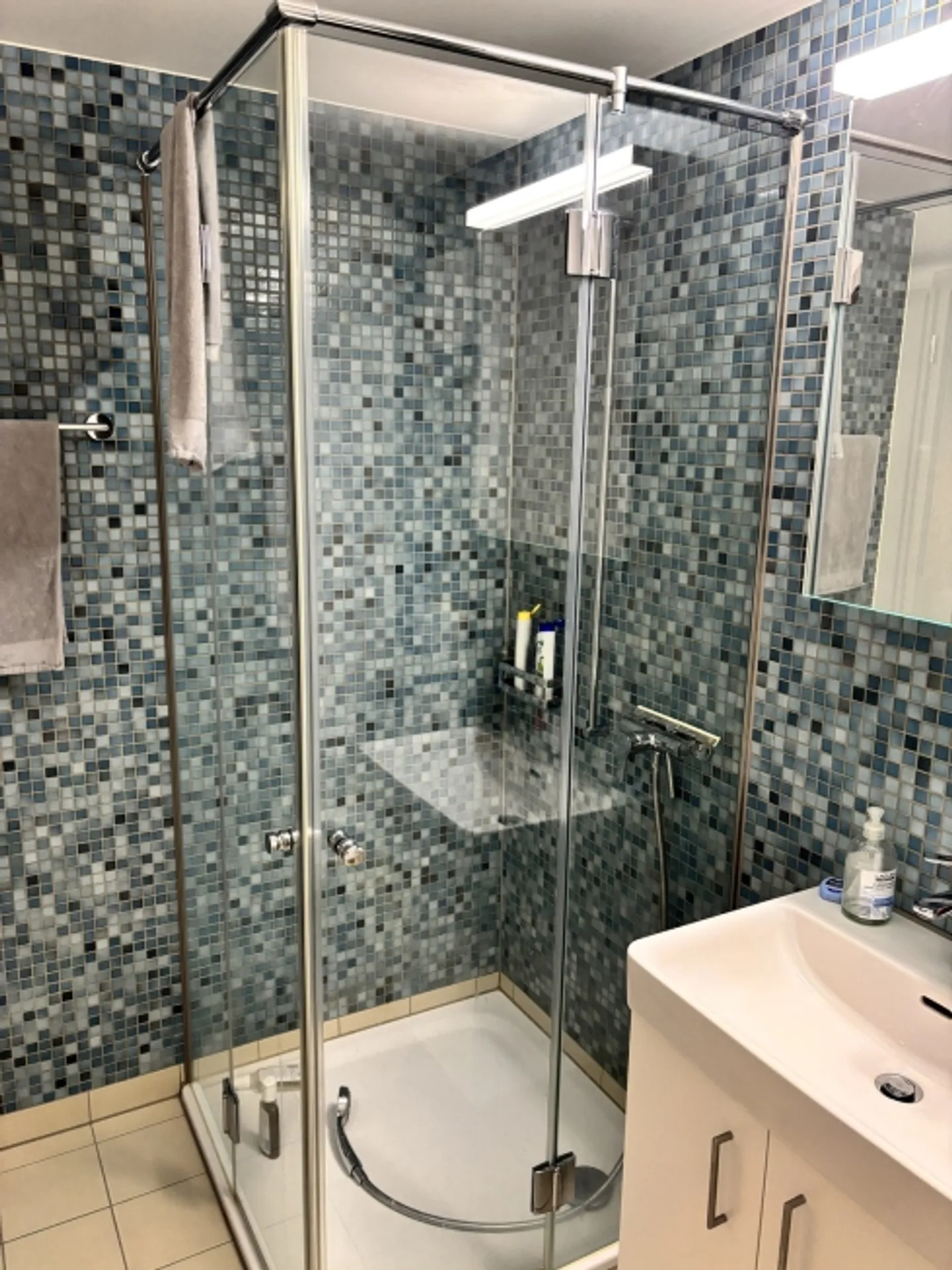 2½ ROOM APARTMENT IN ZURICH - DISTRICT 9 ALTSTETTEN, FURNISHED, TEMPORARY - Photo 4 of 5