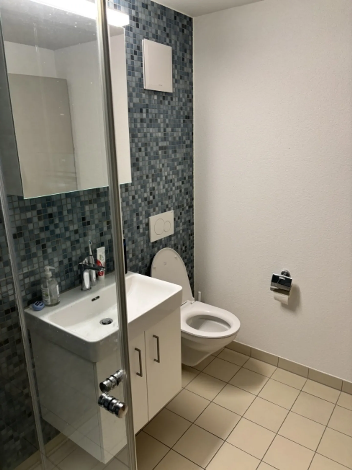 2½ ROOM APARTMENT IN ZURICH - DISTRICT 9 ALTSTETTEN, FURNISHED, TEMPORARY - Photo 5 of 5