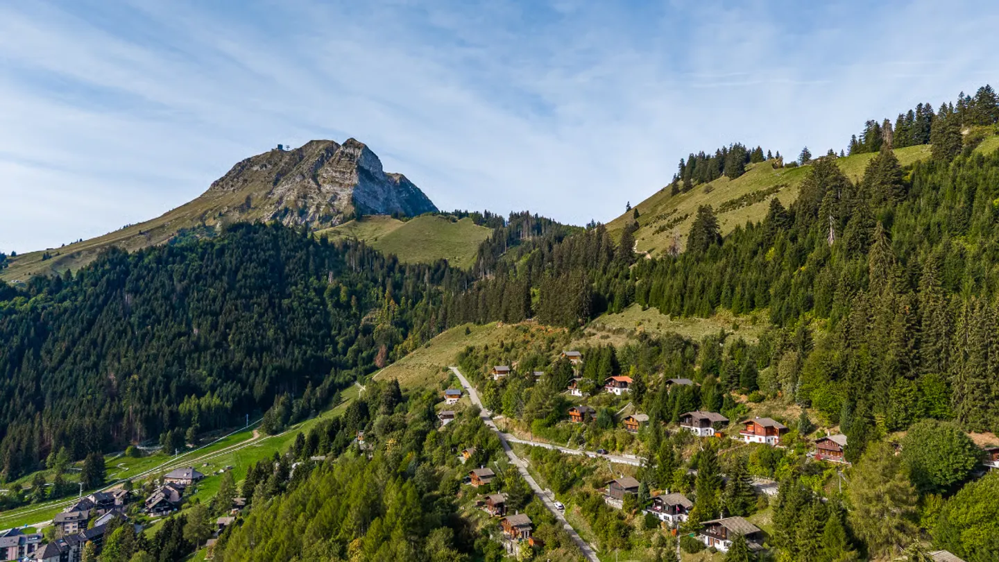 A Moment of Tranquility on the Edge of the Forest and at the Foot of the Mountain - Photo 1 of 13