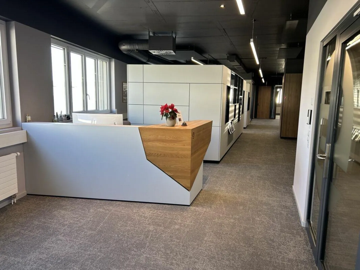 Ufficio moderno di 117 m² a Frenkendorf - Foto 2 di 8