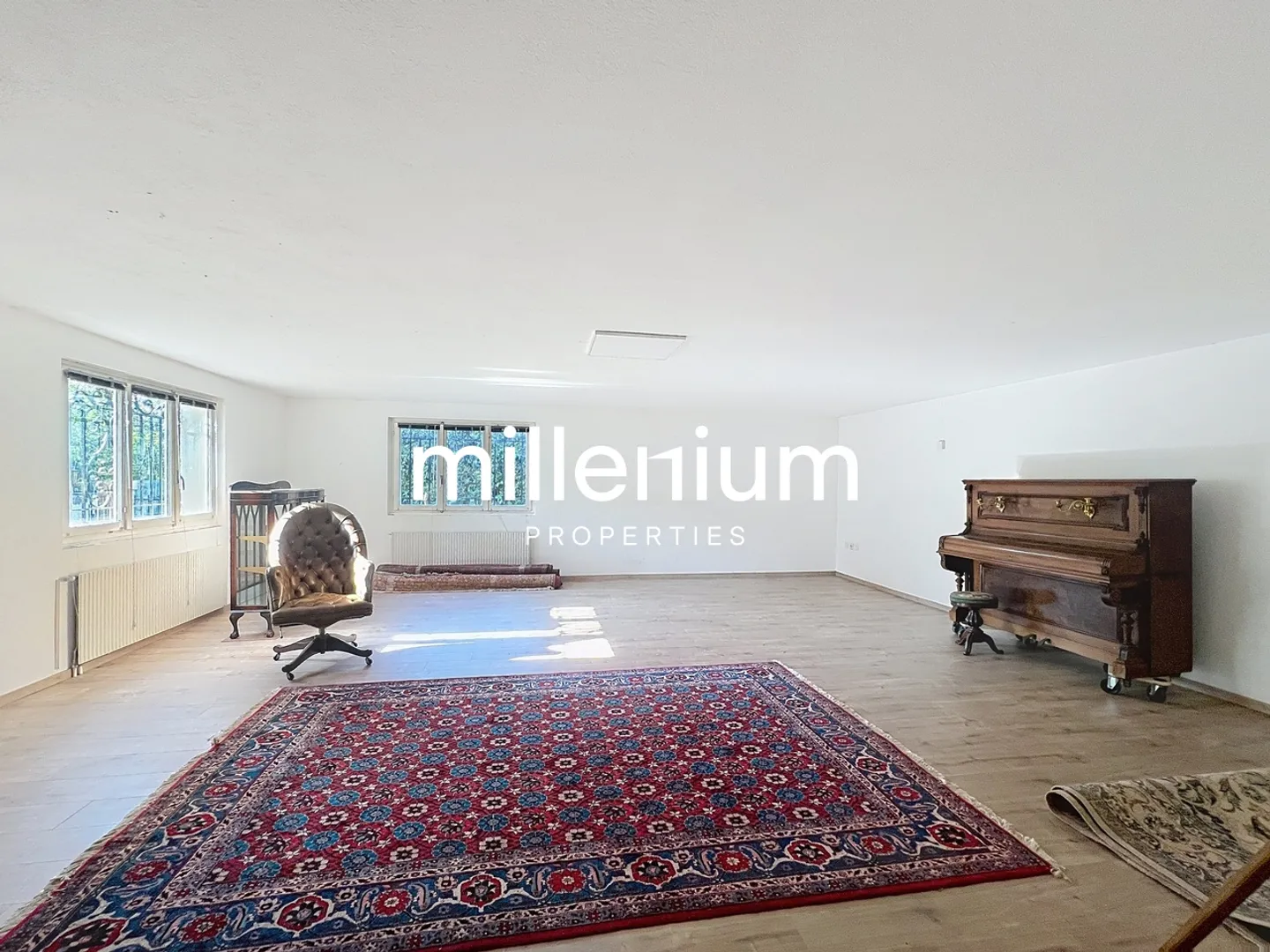 Charming Family Villa in Geneva - Photo 10 of 11