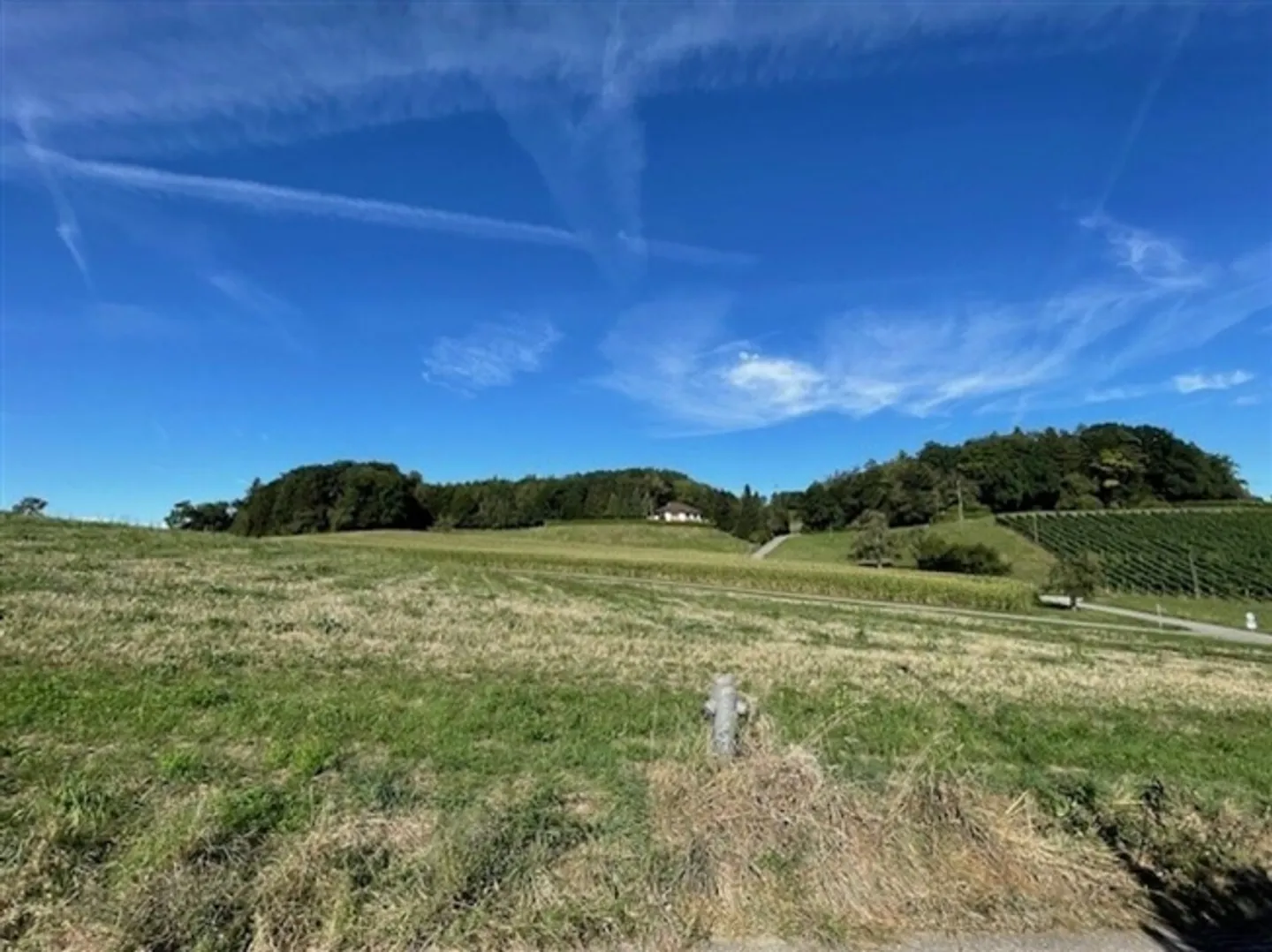 Casa unifamiliare di 5,5 stanze con edificio garage - Foto 2 di 10