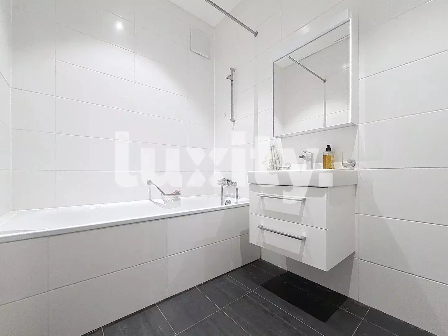 Beautiful Apartment in Plainpalais - Photo 4 of 4