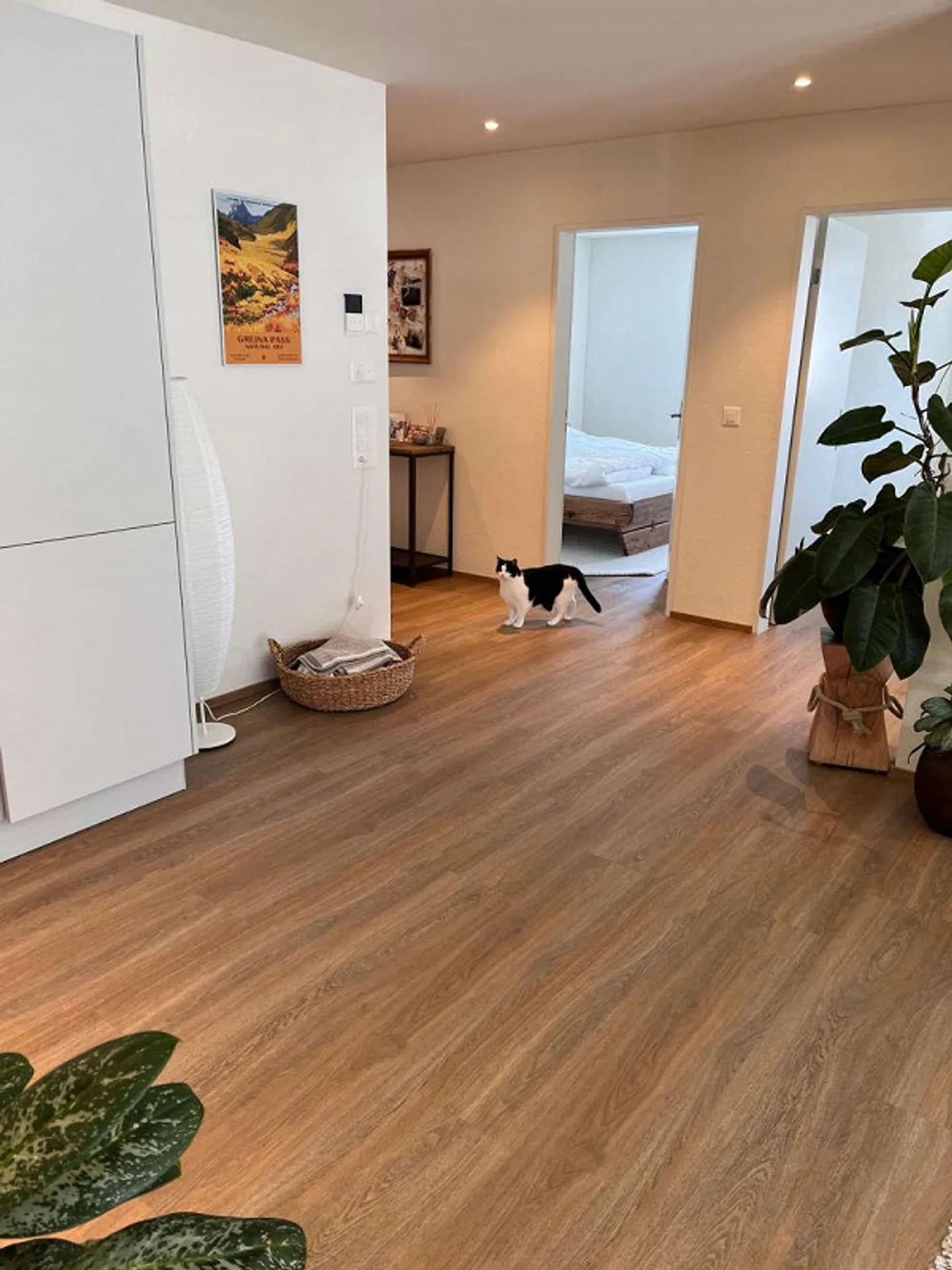 Appartement spacieux de 4,5 pièces avec vue en tant que résidence principale - Photo 8 sur 19