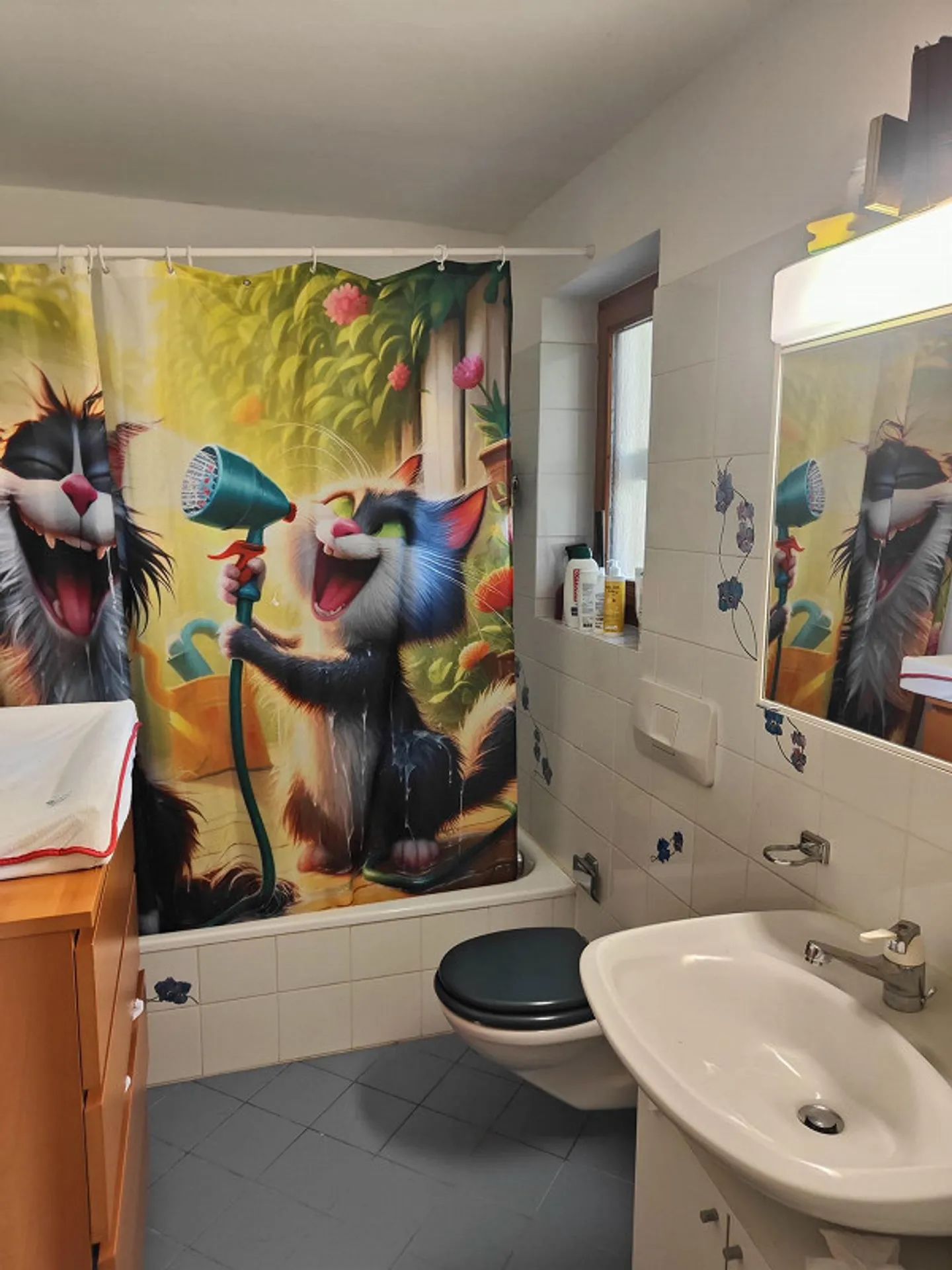 Splendid apartment in Solduno - Photo 9 of 10