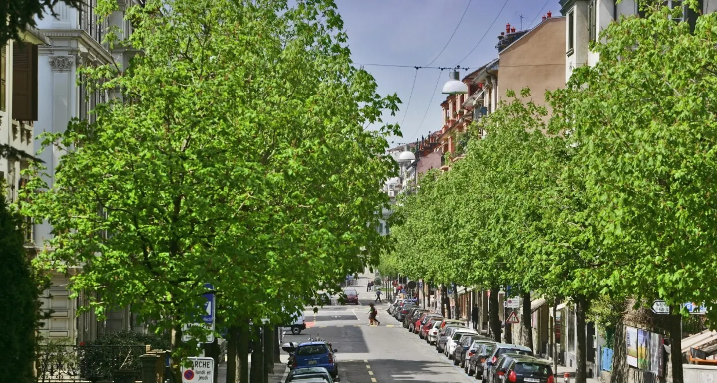 Charmant Appartement Meublé - Photo 1 sur 8