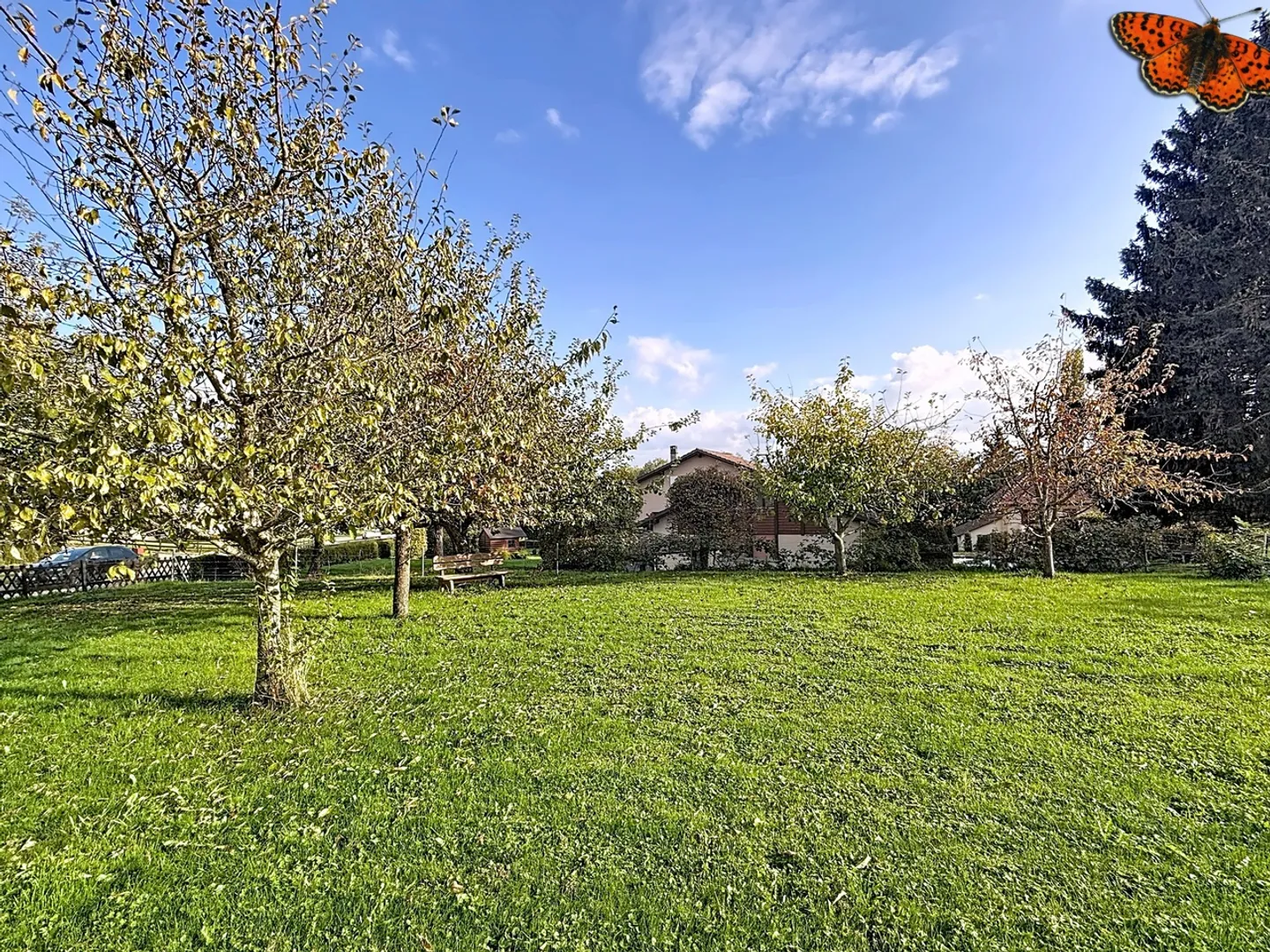 Casa 6.5 stanze - Foto 13 di 13