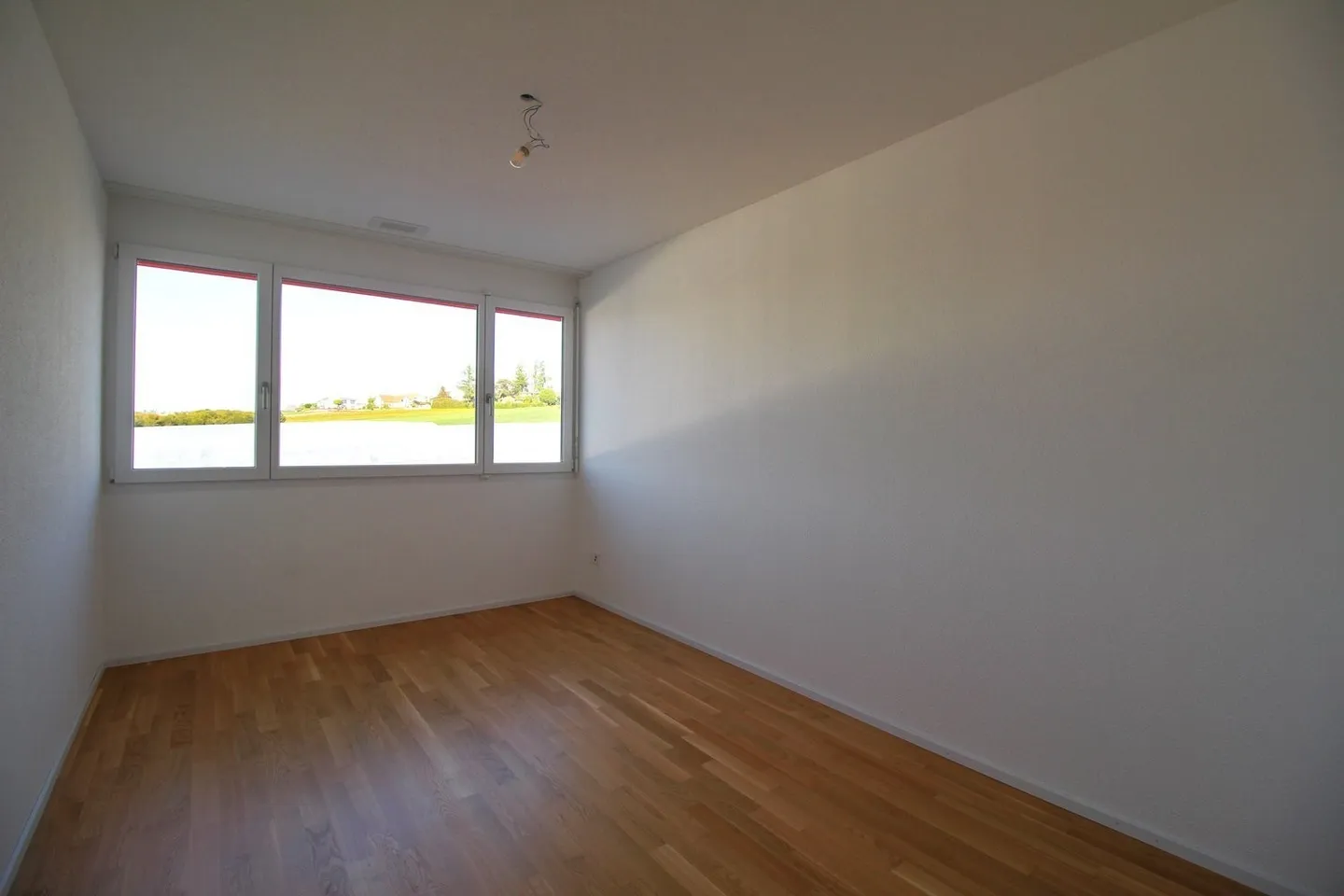 Spacious apartment with a view of greenery - Photo 5 of 10