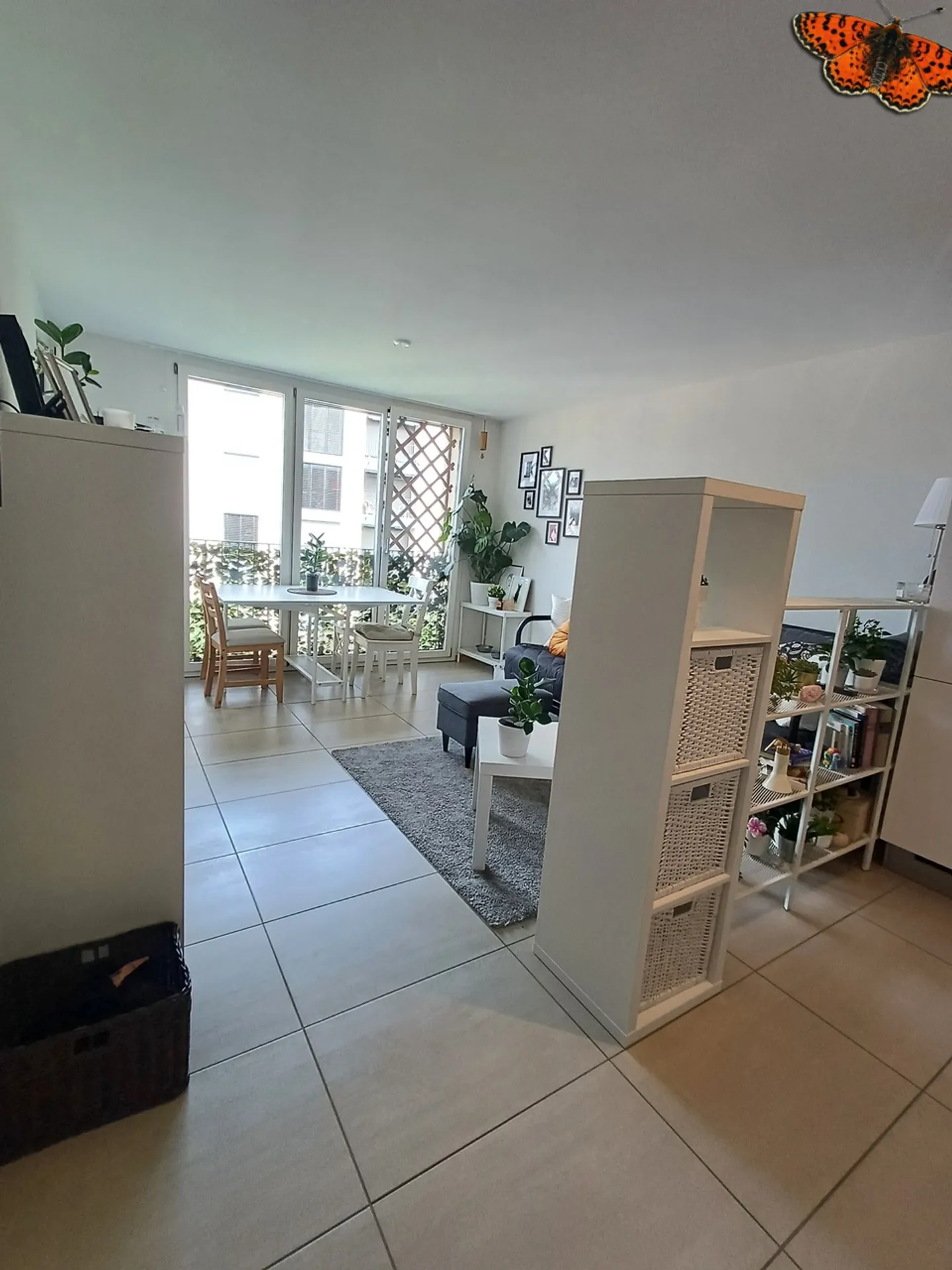 Appartamento 2½ camere affascinante - Foto 6 di 7